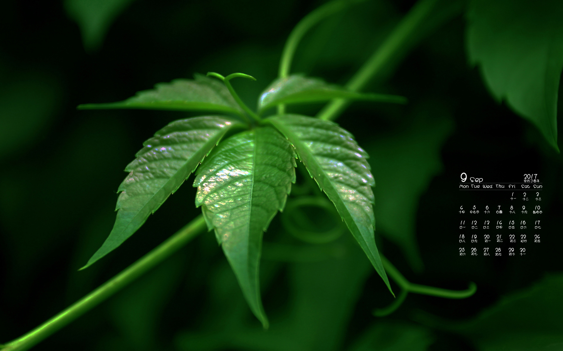 月历 2017年9月