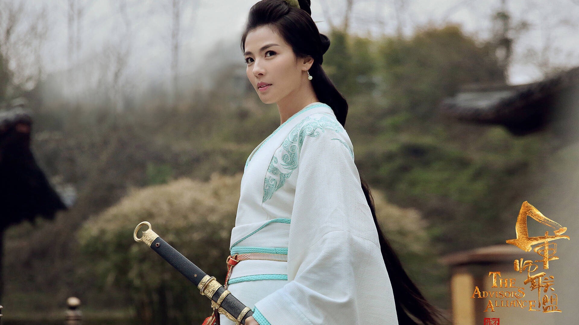 影视 电视剧 军师联盟 刘涛