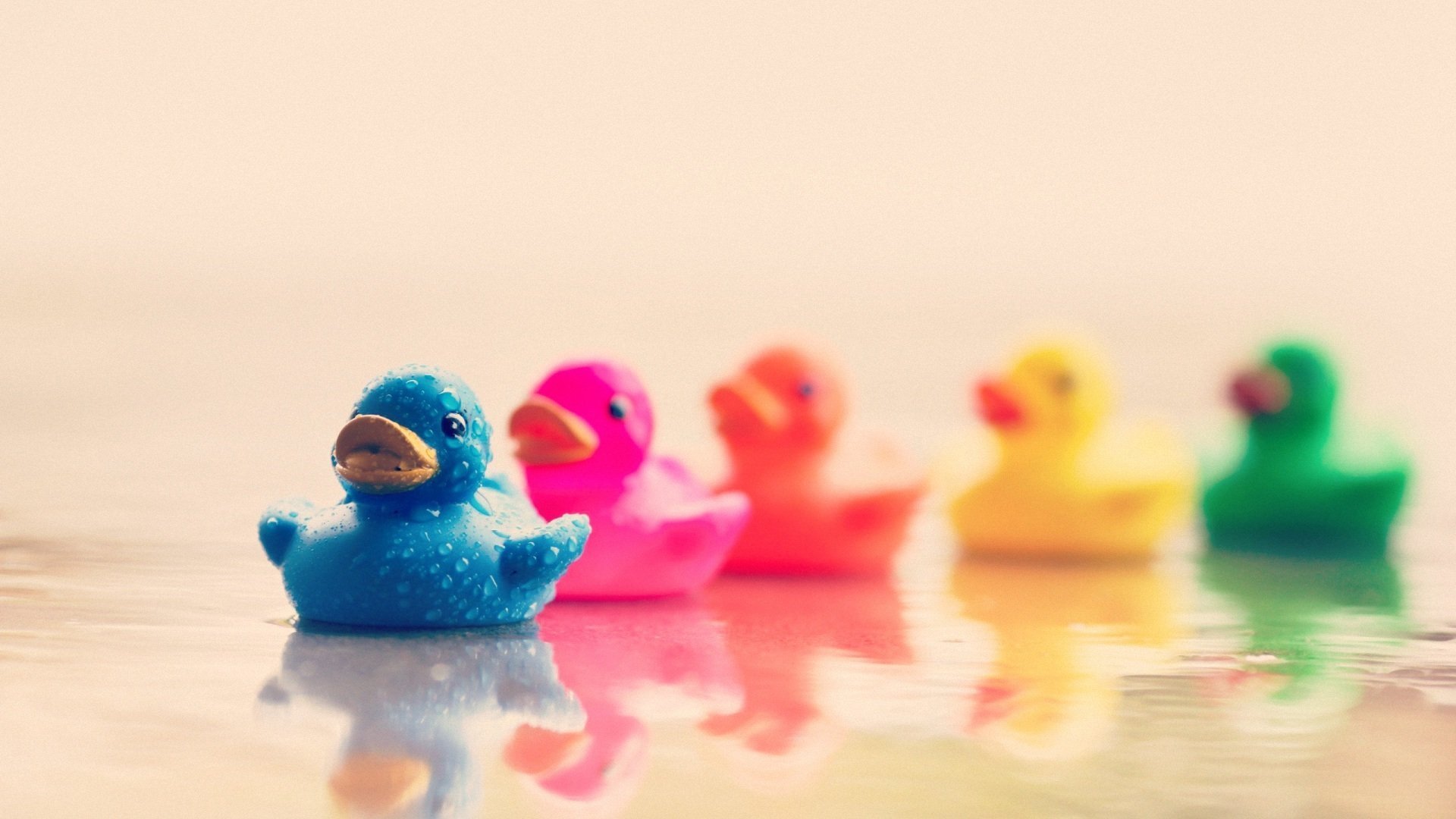 小清新 小鸭子 彩色