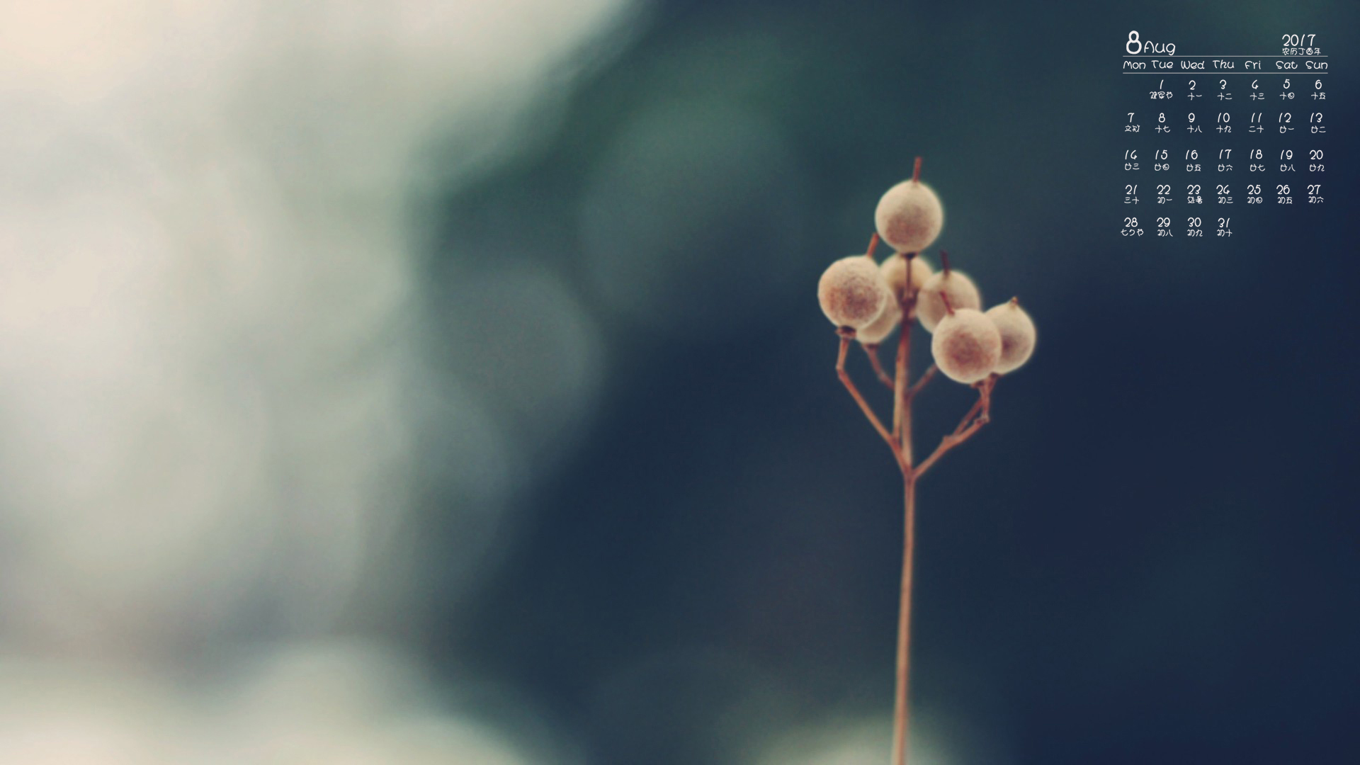 月历 2017年8月