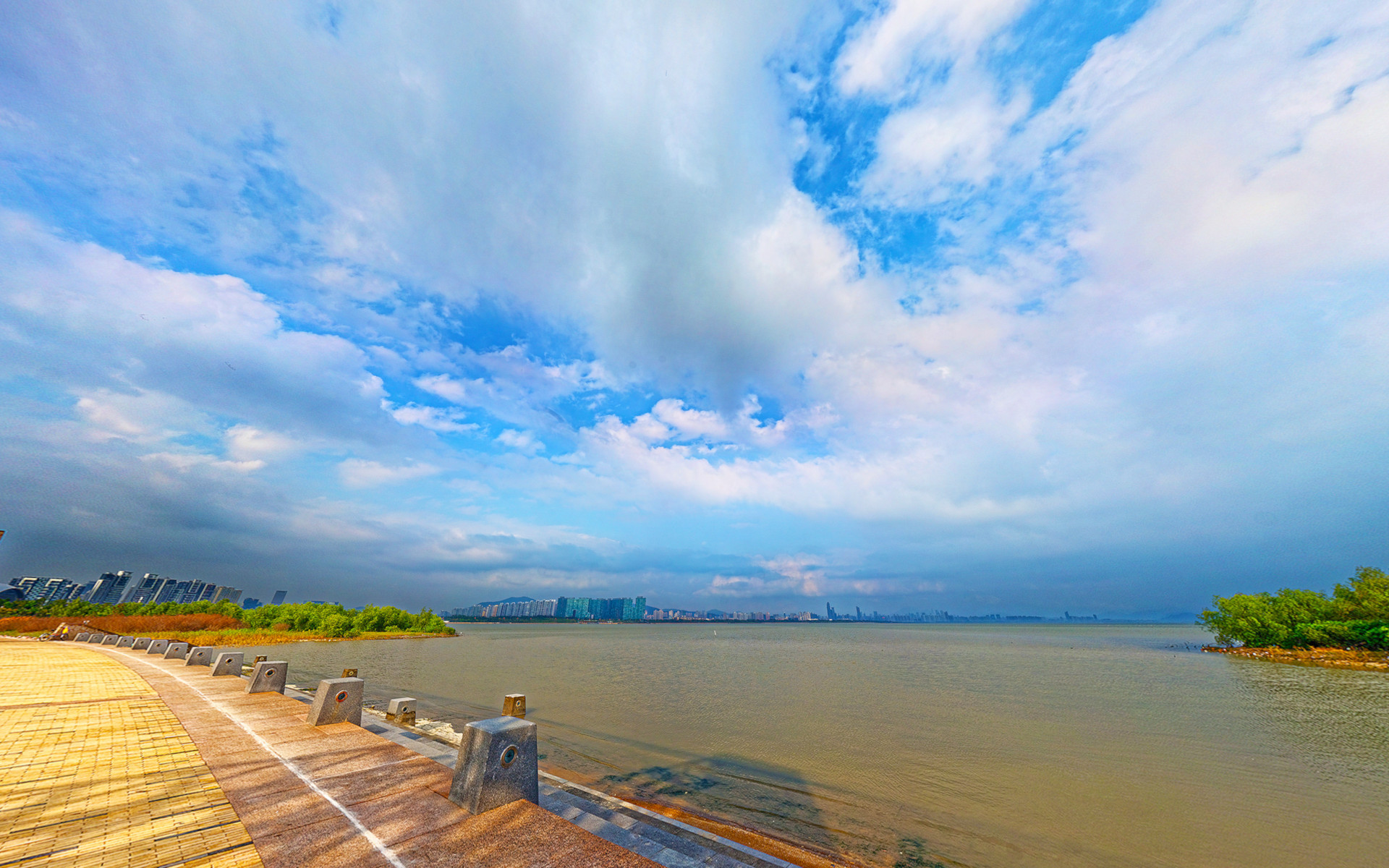 深圳湾 深圳