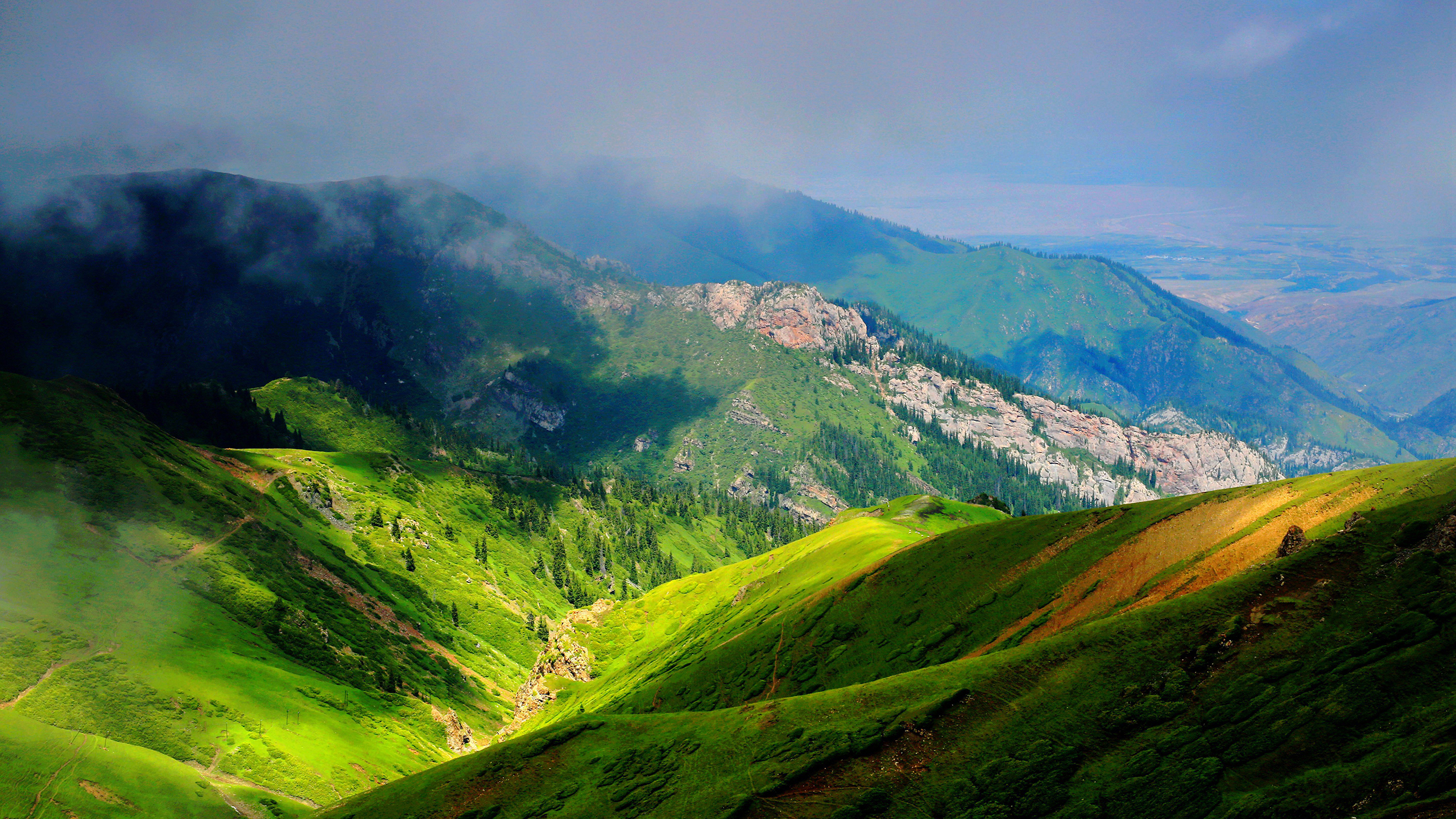 风景 自然风光 新疆 北疆 草地 山川