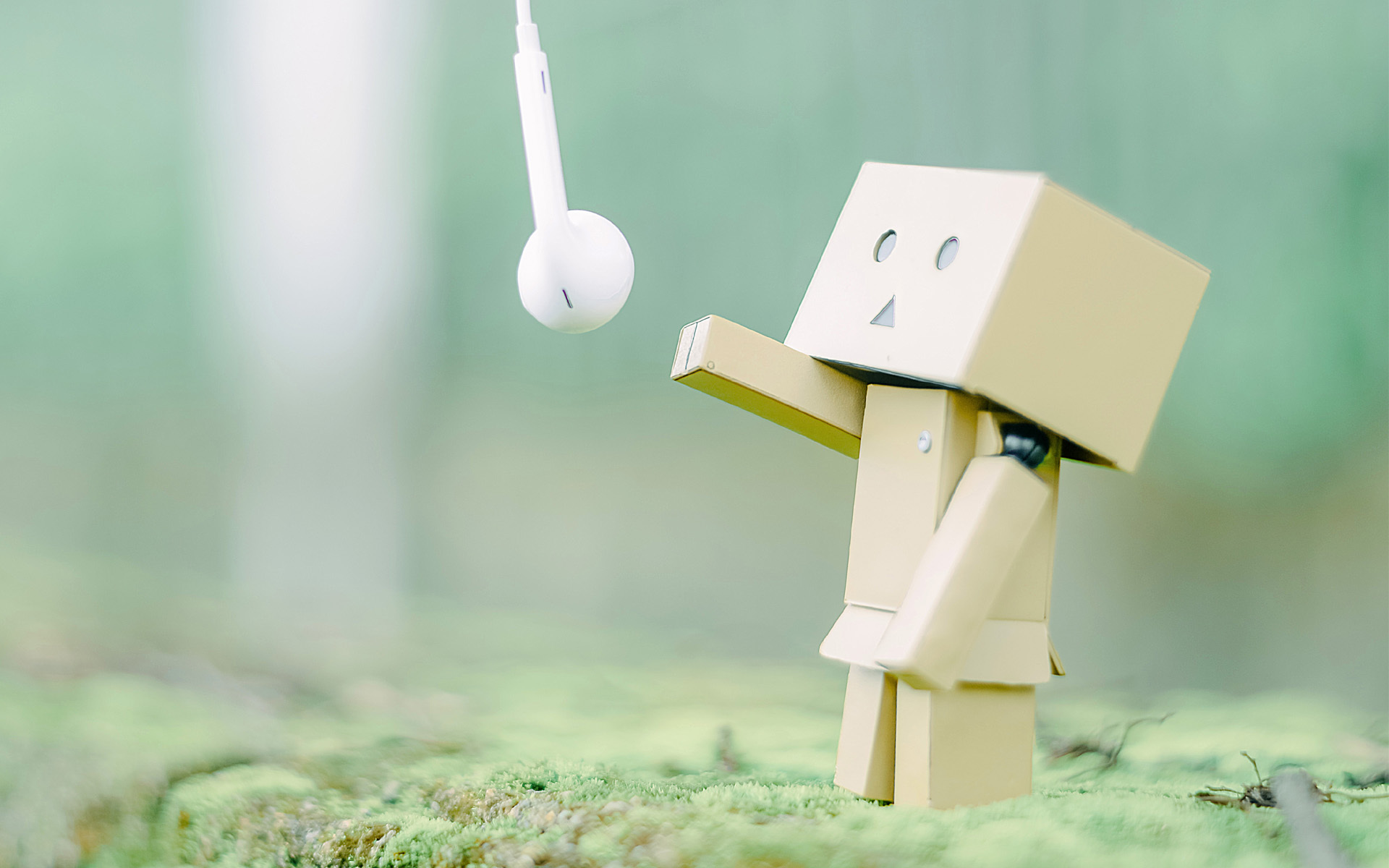 小清新 静物写真 纸盒人阿愣