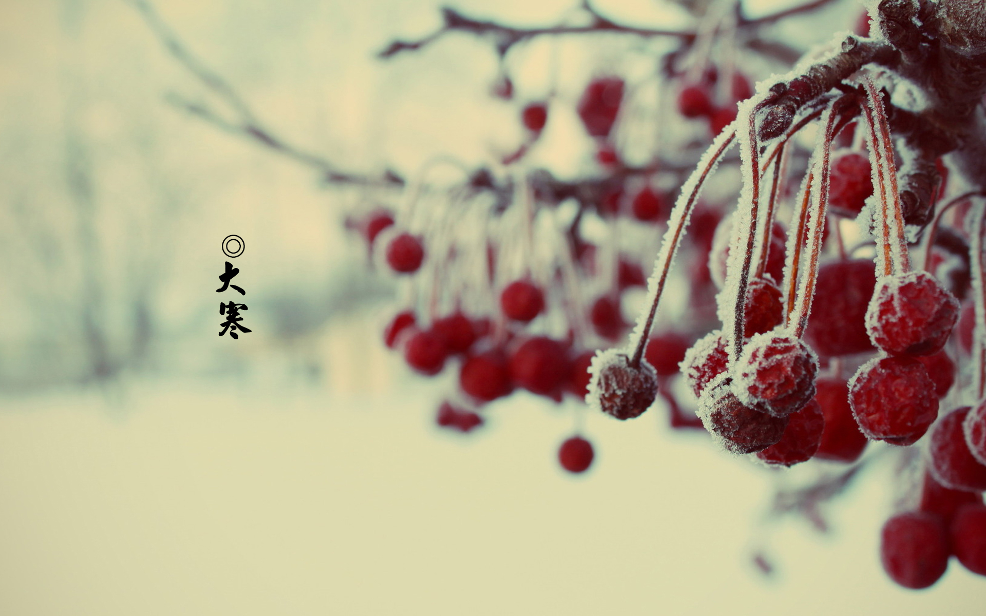 节日美图 大寒 寒冷 二十四节气 宽屏