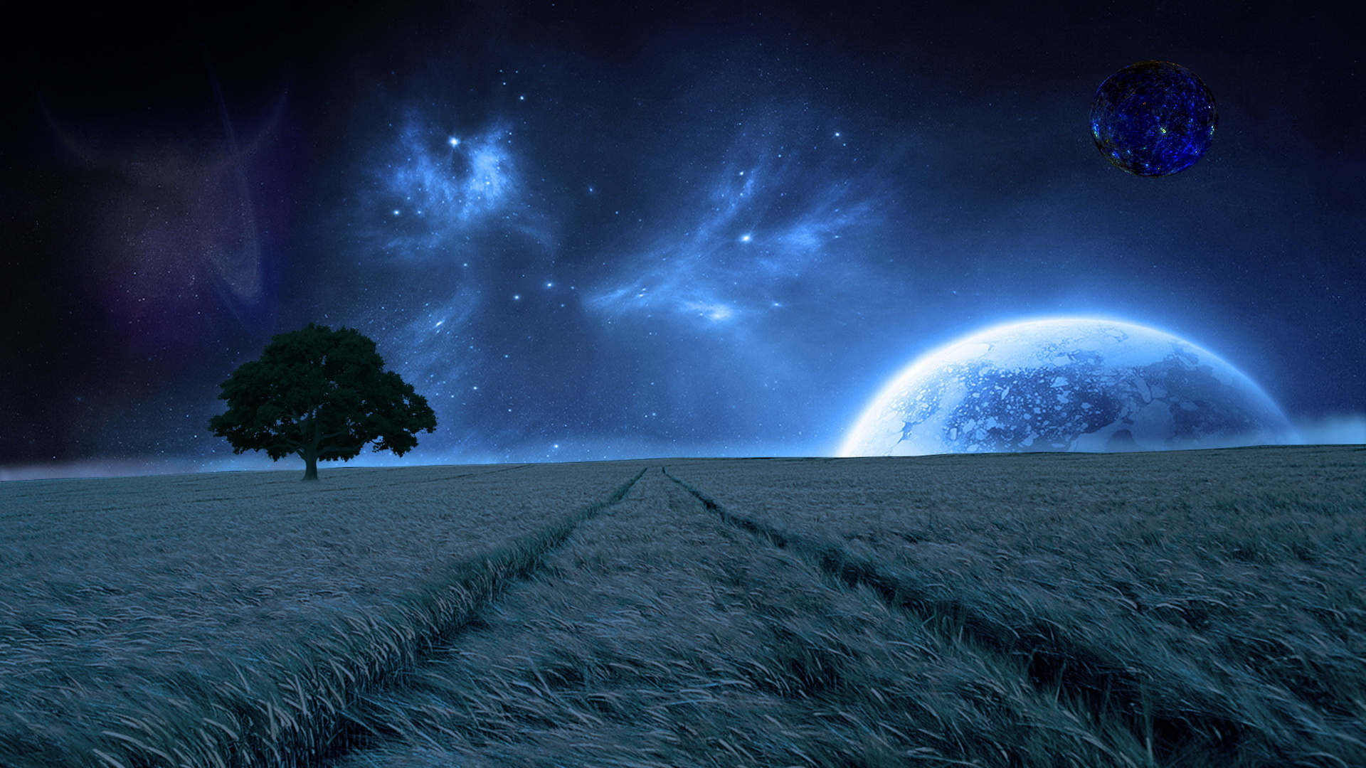 夜景 星空 田野