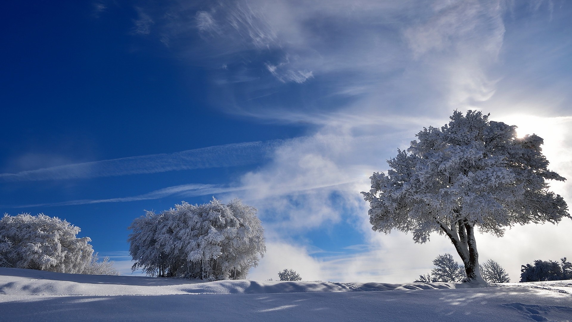 冰天雪地