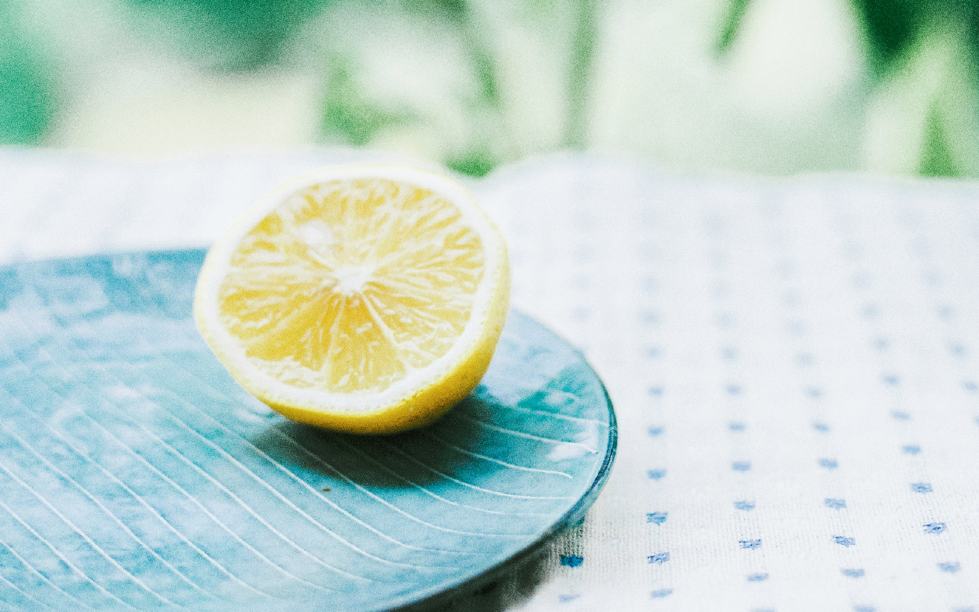 小清新 动感水果