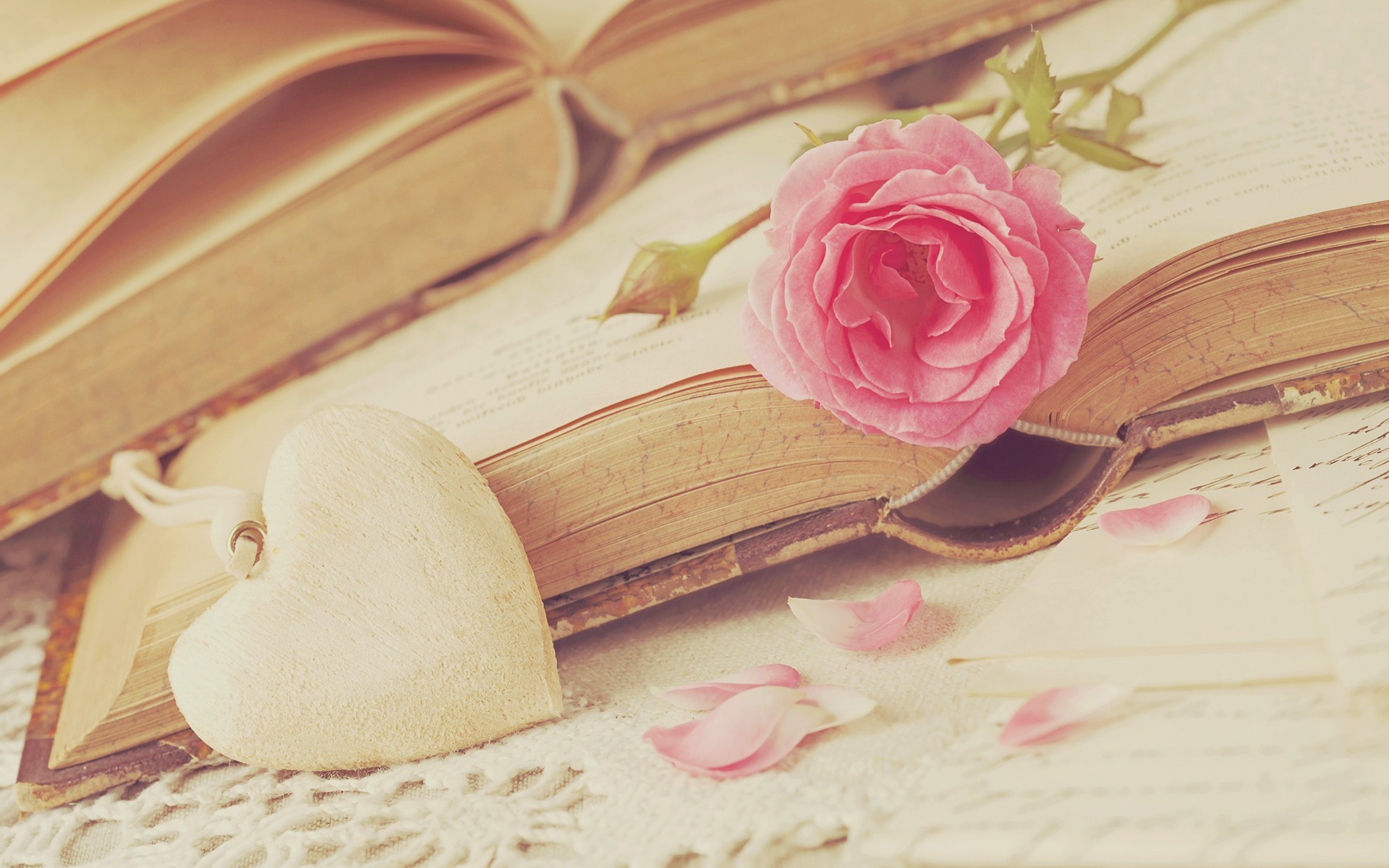 爱情箴言  书里的爱情  玫瑰