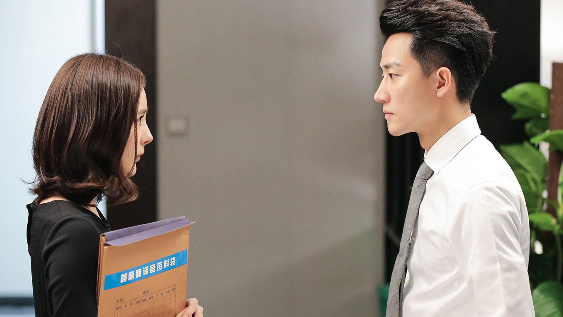 亲爱的翻译官 杨幂 黄轩