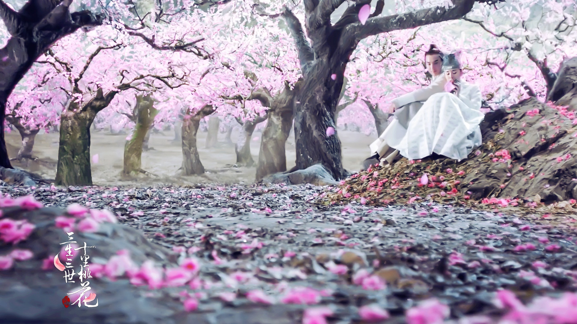 三生三世十里桃花