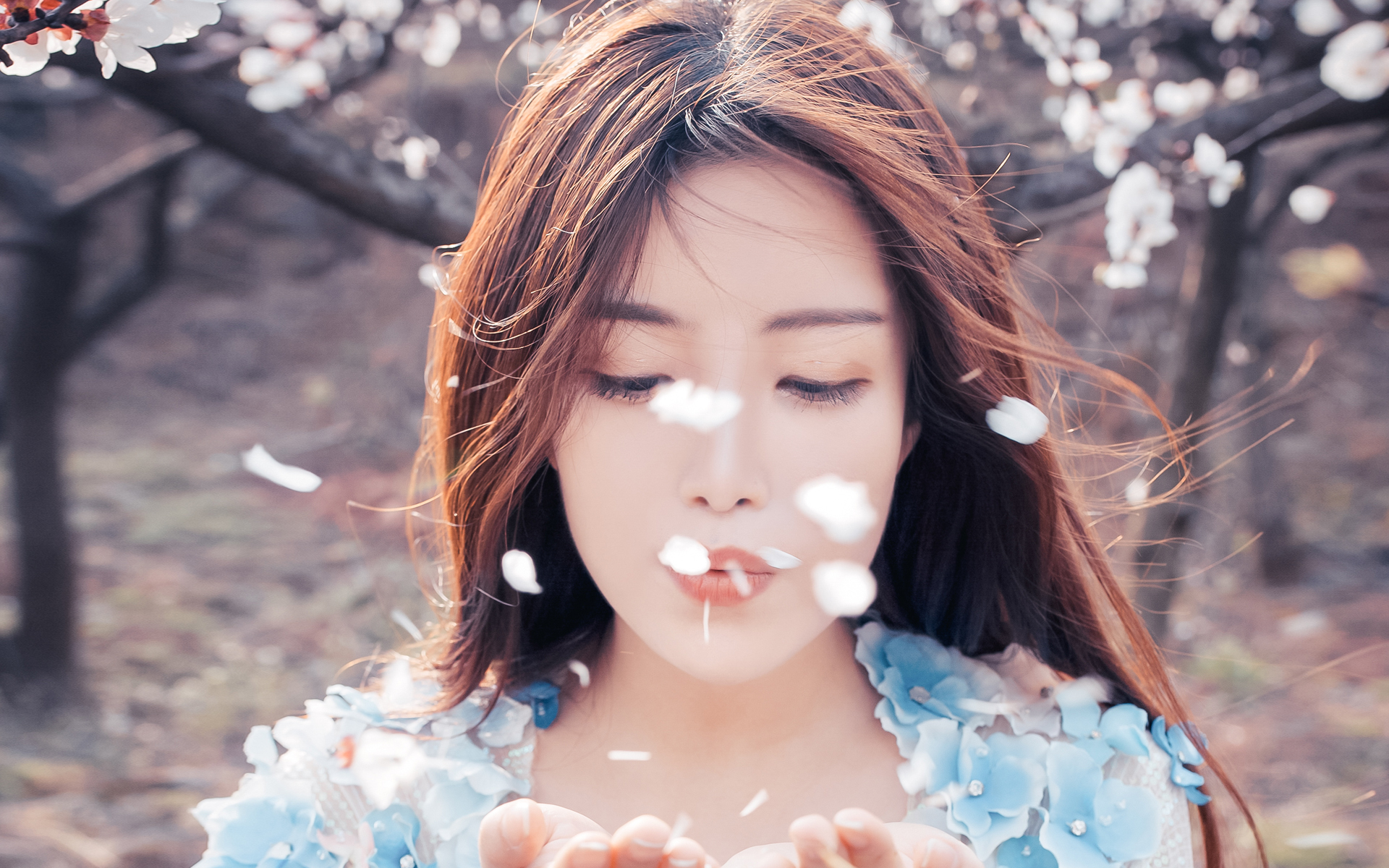 清纯 日系 唯美 樱花