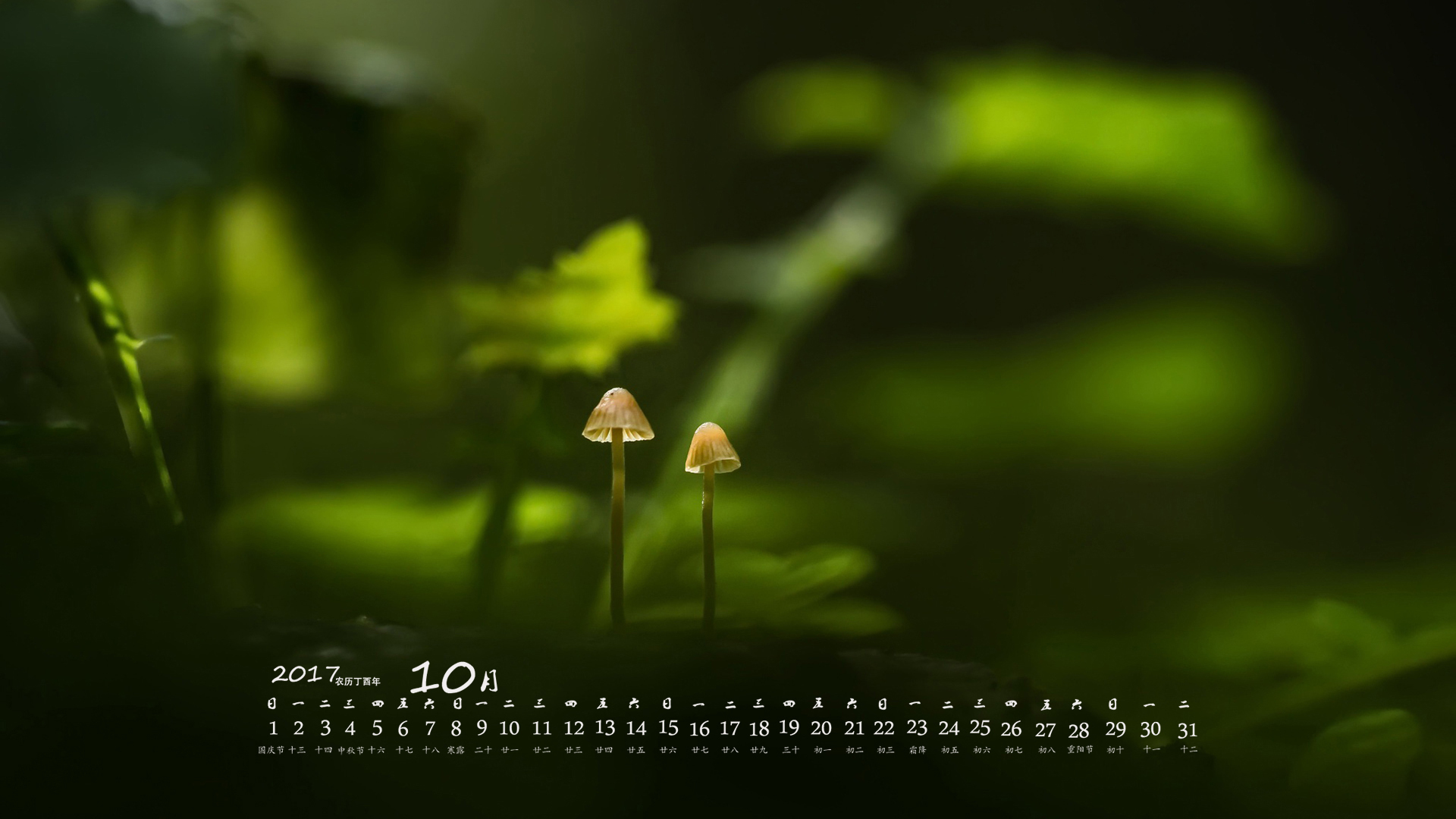 月历 2017年10月