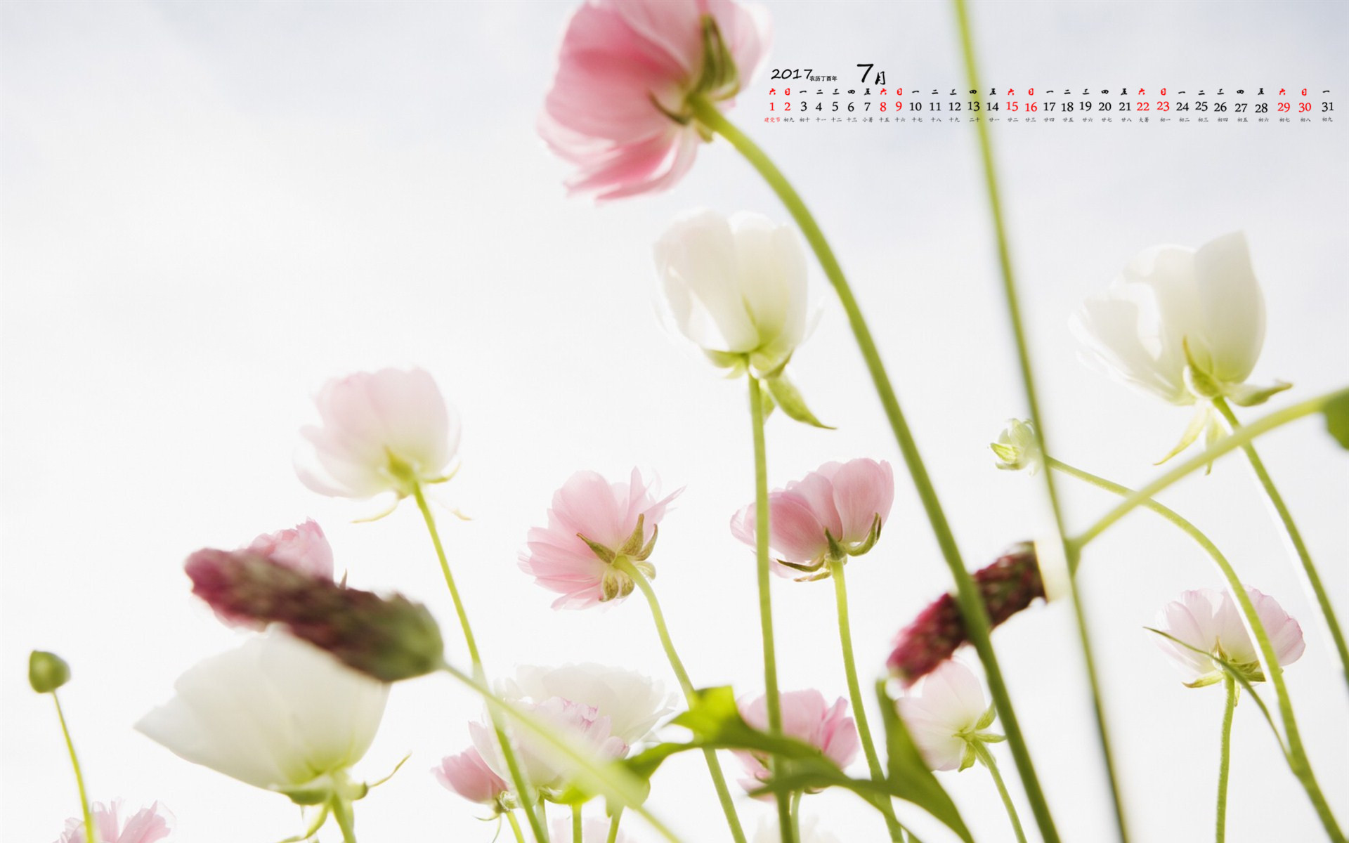 月历 2017年7月