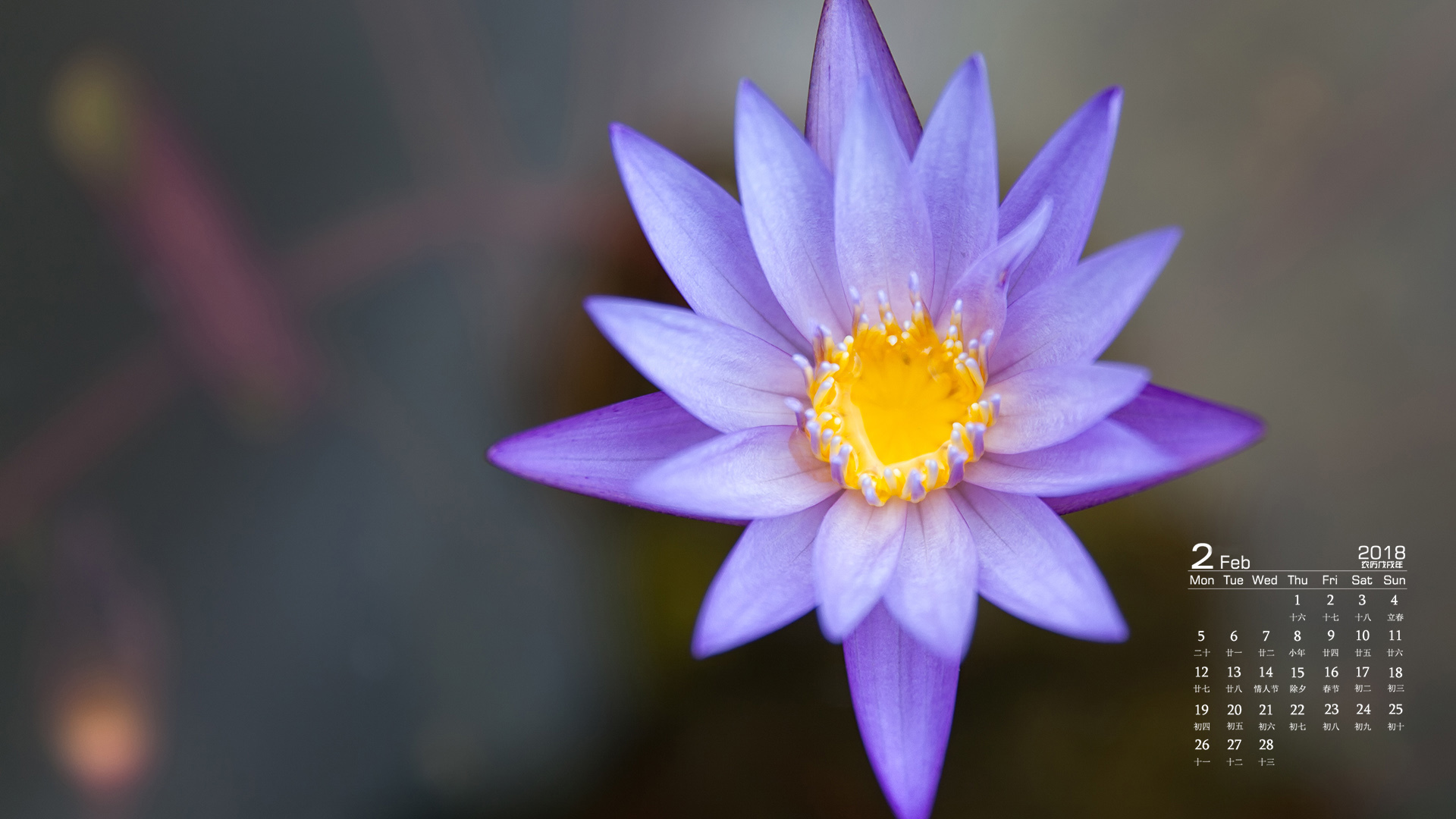 月历 2018年2月