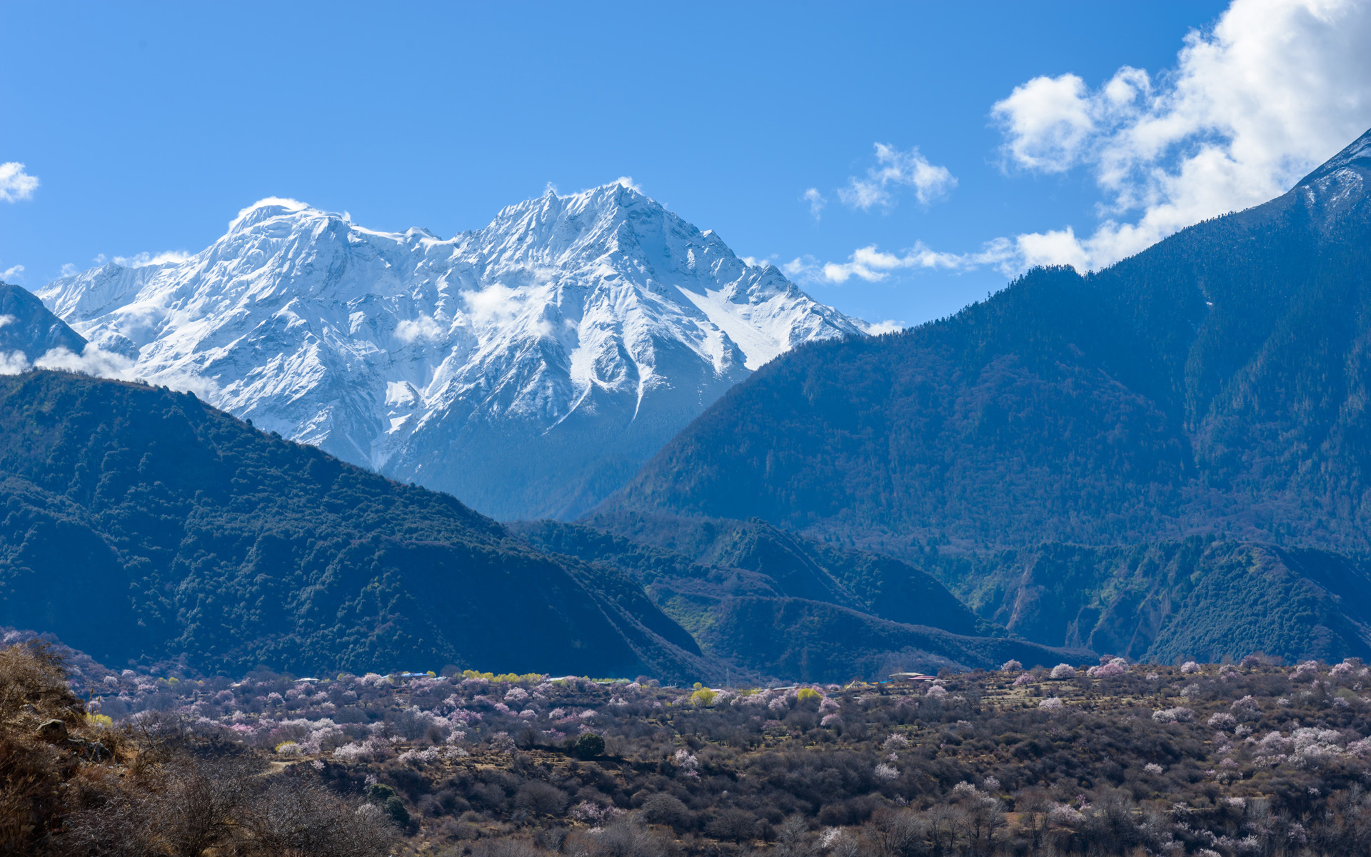 冰天雪地  冬季  唯美  雪景   西藏风光