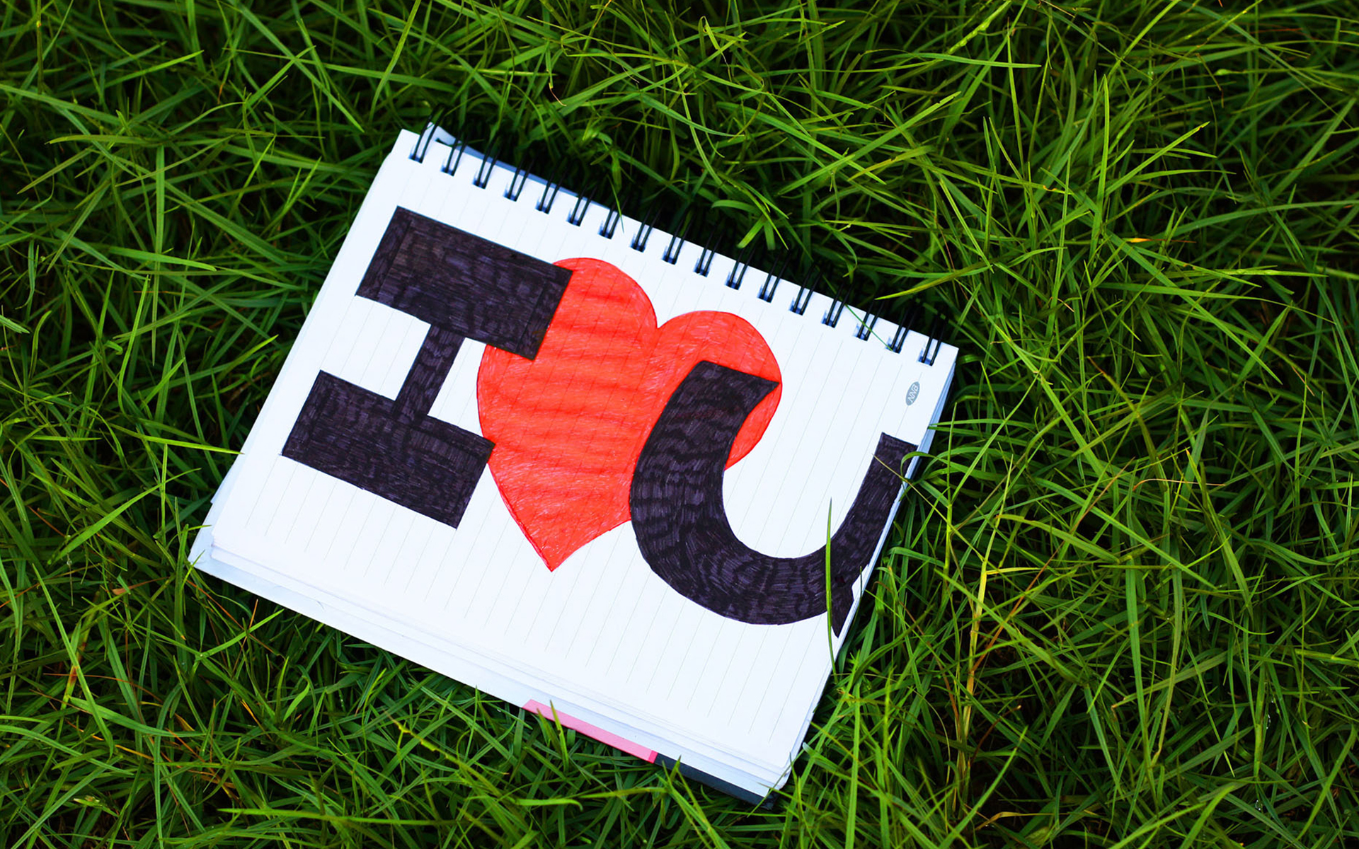 爱情 手绘 草地