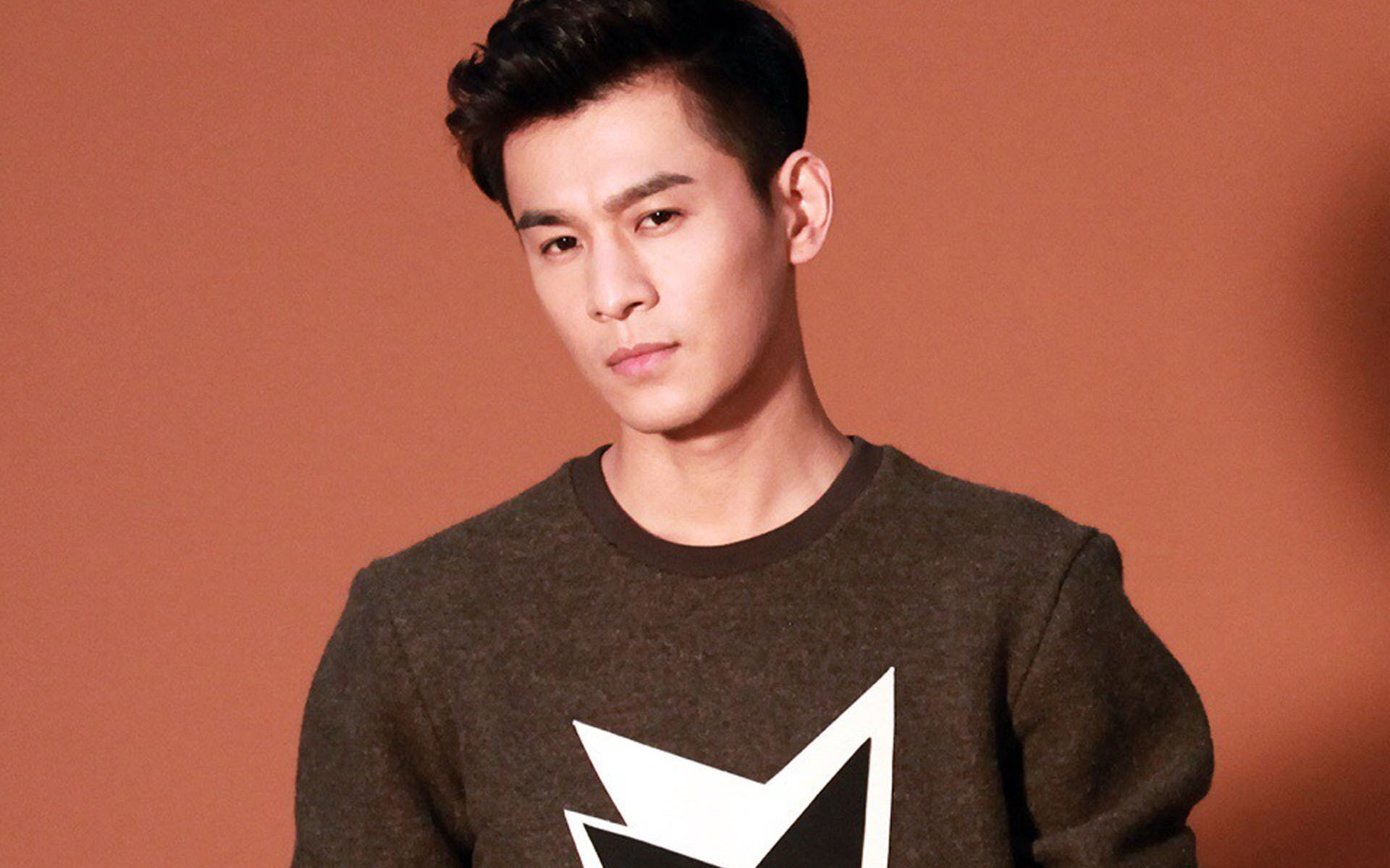 内地明星 乔振宇