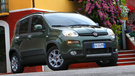 汽车 轿车 菲亚特 熊猫 2013款 fiat panda trekking 儿童桌面专用