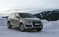 Audi 奥迪 汽车 宽屏   2012Y十一月03D 儿童桌面专用