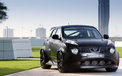 Nissan Nissan Juke-R Concept 2012Y十一月21D 儿童桌面专用