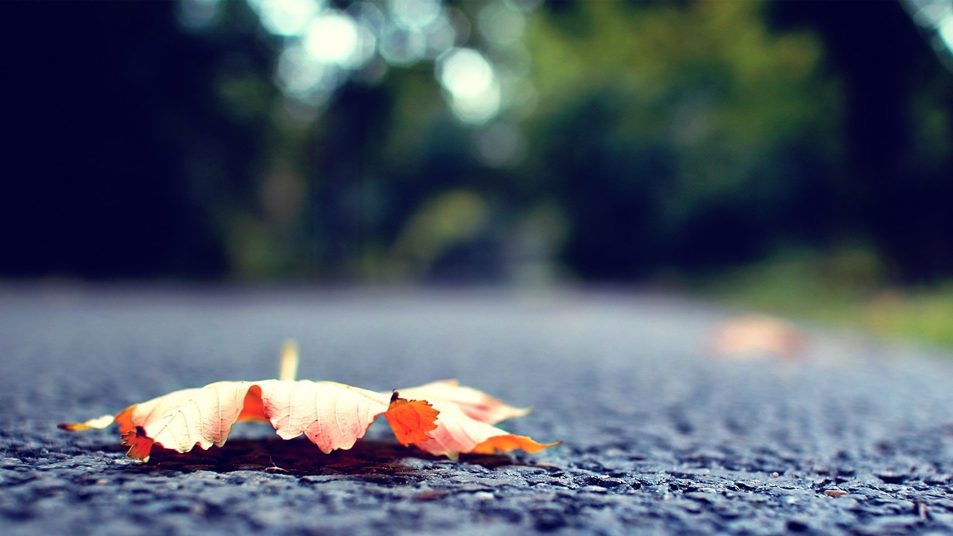 小清新 风景 摄影 儿童桌面专用