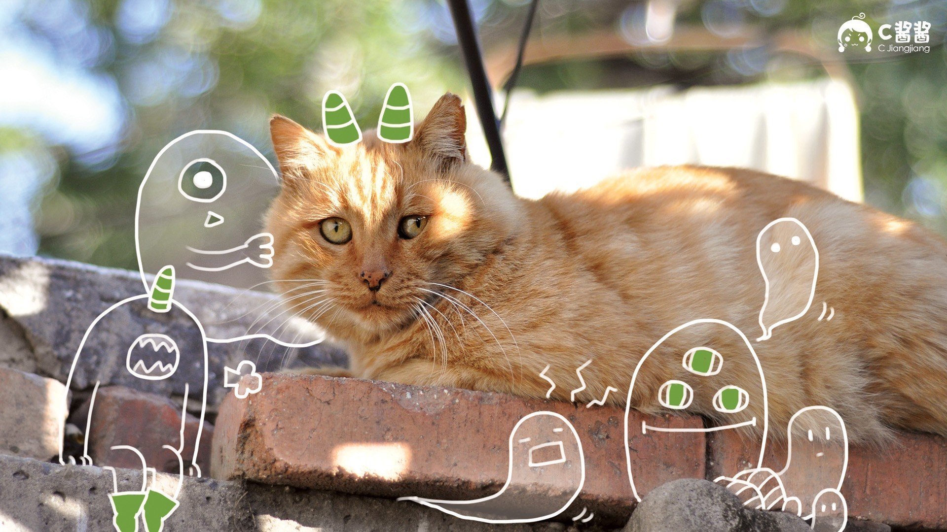 萌宠 动物 喵星人 猫咪 猫 手绘 恶搞 可爱 萌物 儿童桌面专用