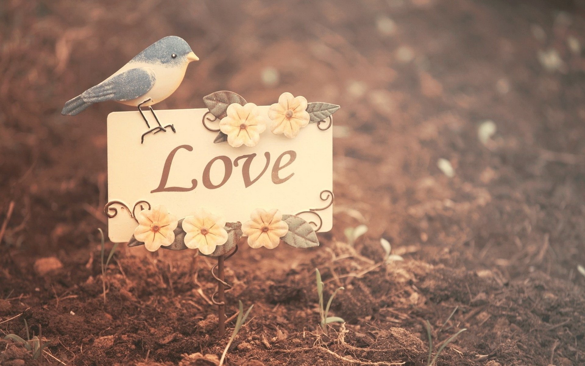 小清新 摄影 唯美 非主流 意境  儿童桌面专用