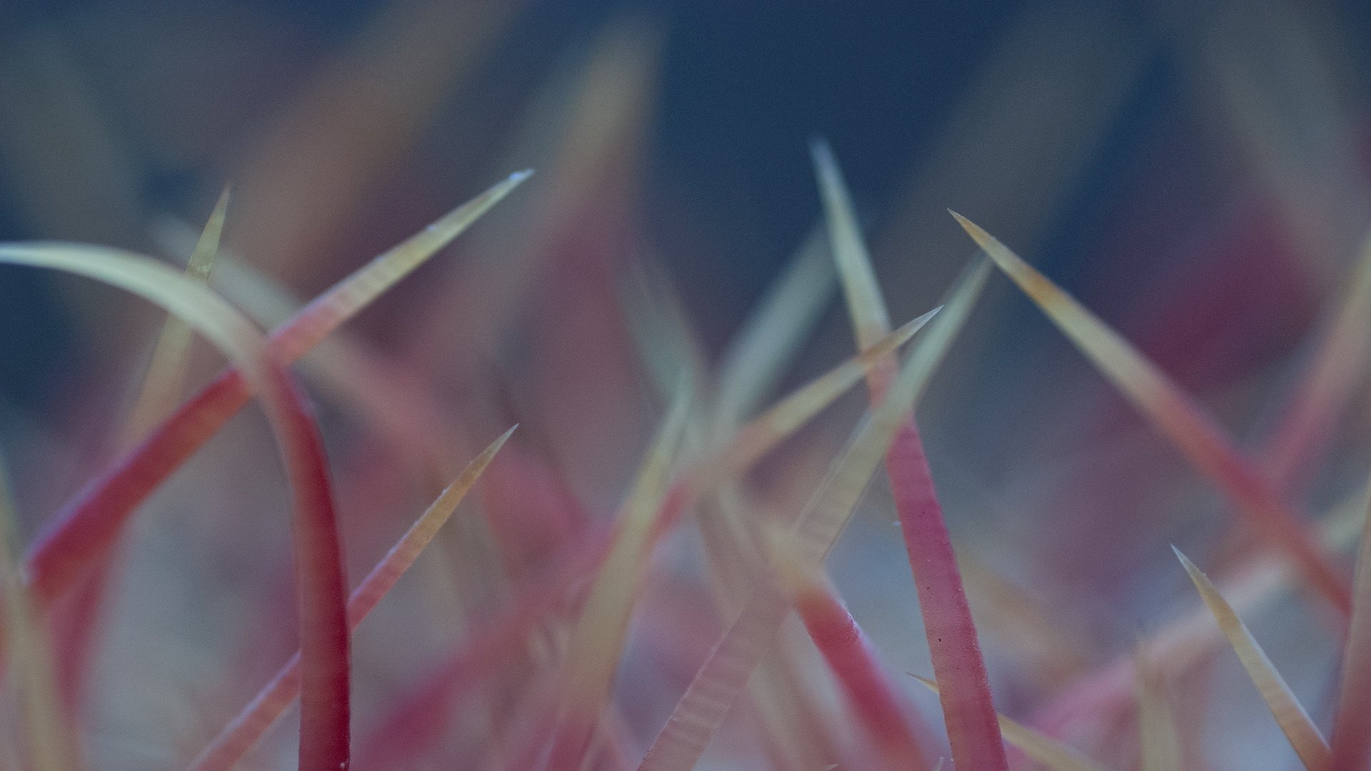 小清新 意境 摄影 非主流