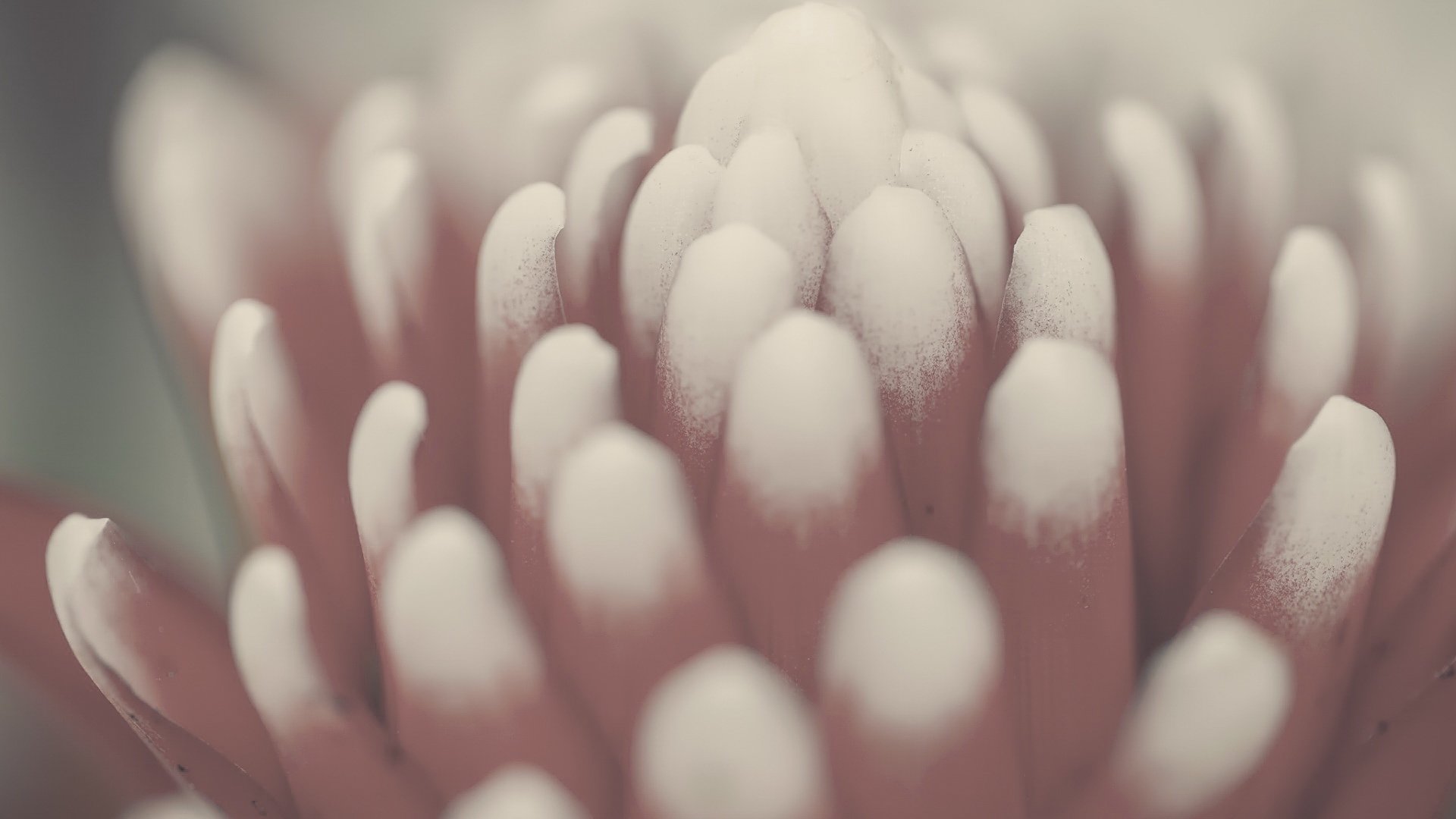 小清新 非主流 意境 摄影