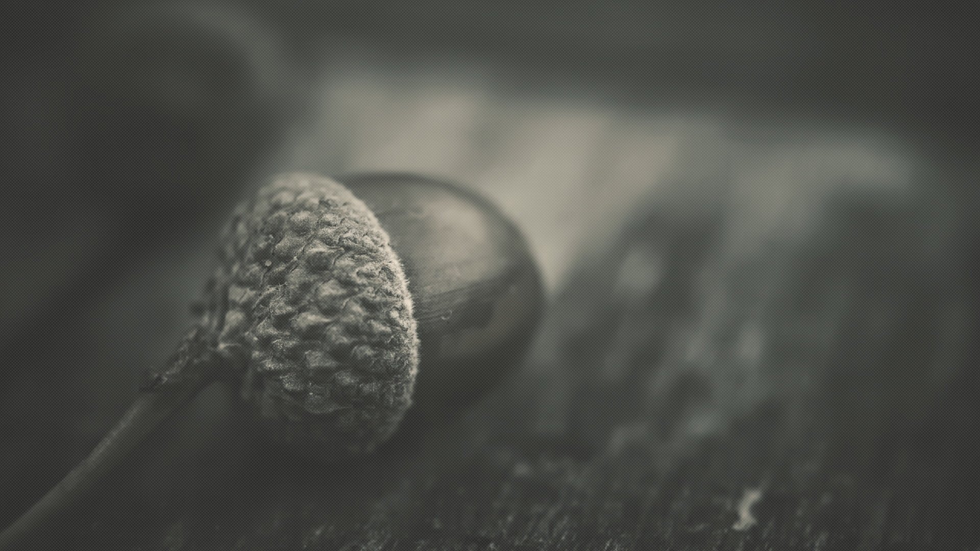 小清新 非主流 意境 摄影