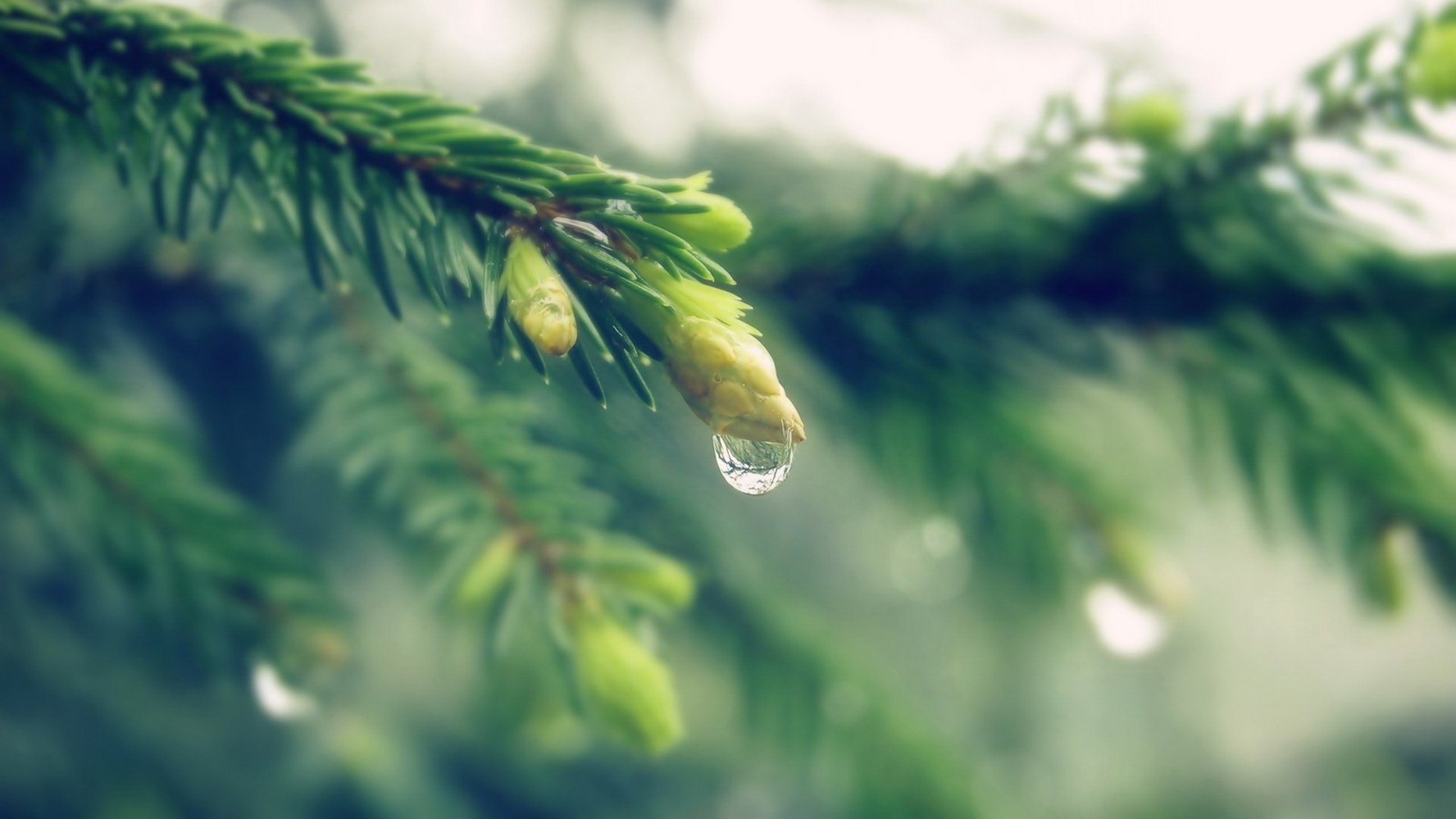 小清新 非主流 意境 摄影 儿童桌面专用