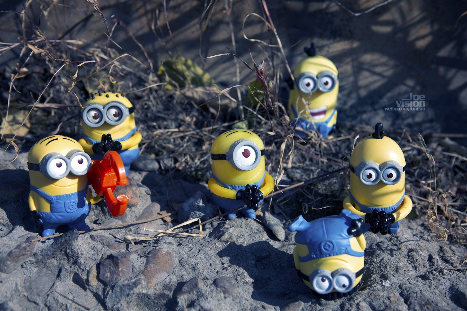 电影 卑鄙的我 神偷奶爸 小黄人 摄影 小黄人专辑