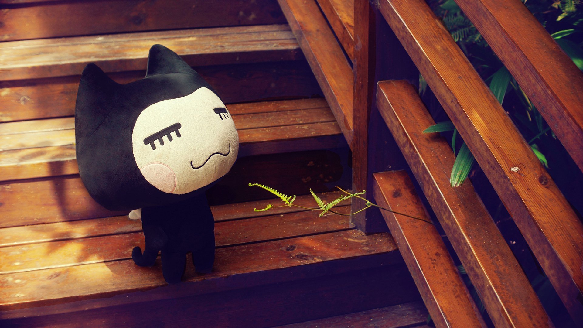 小左小右 小清新 摄影 儿童桌面专用