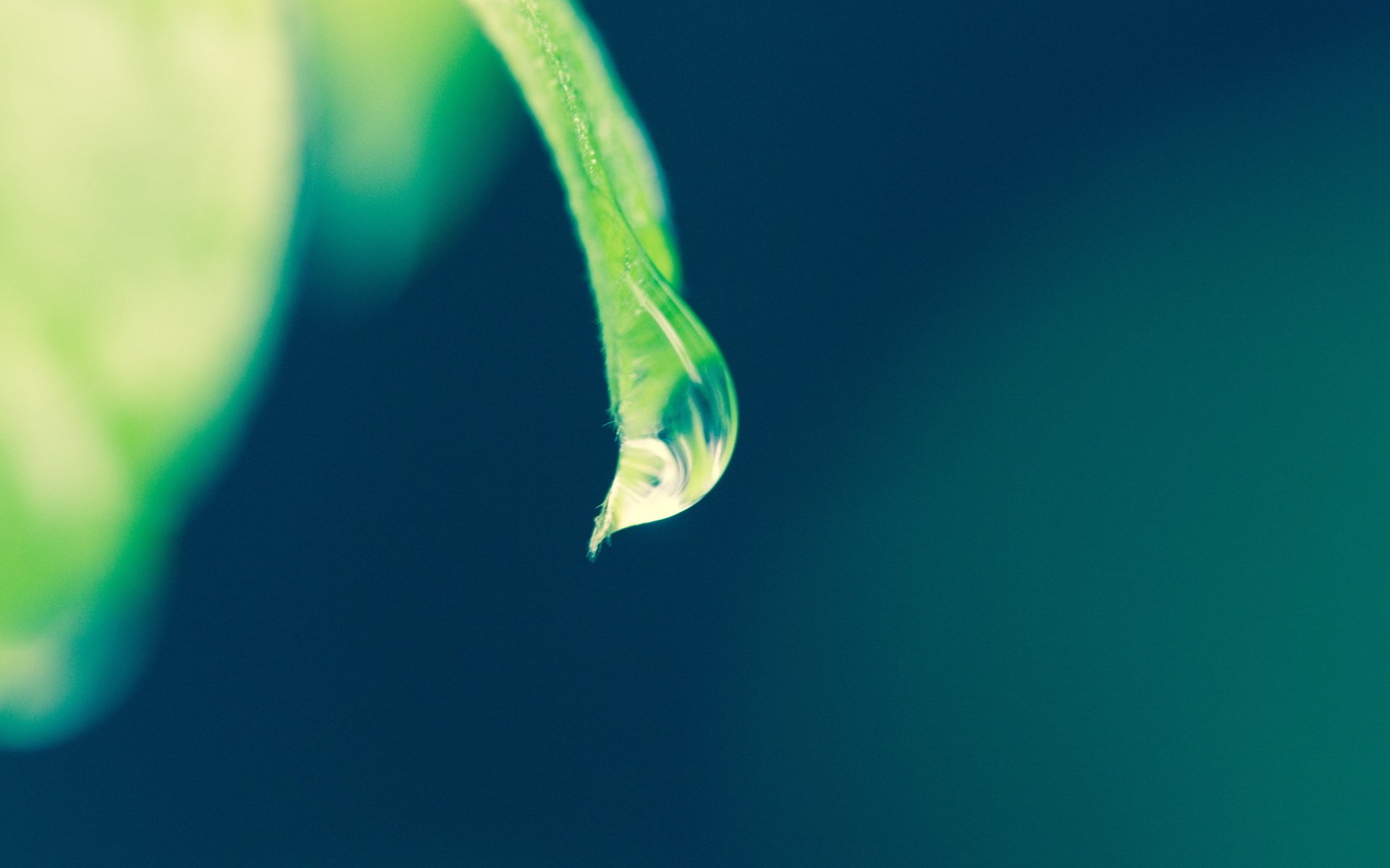 小清新 LOMO 意境 非主流 日系 儿童桌面专用