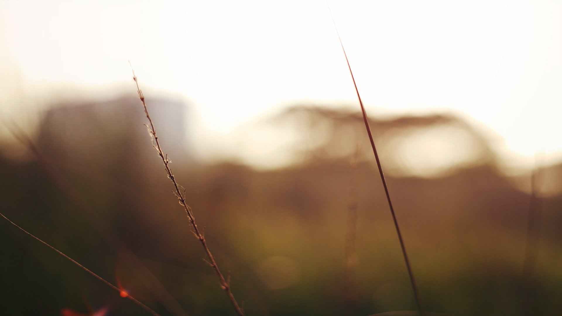 小清新 LOMO 意境 非主流 日系 儿童桌面专用