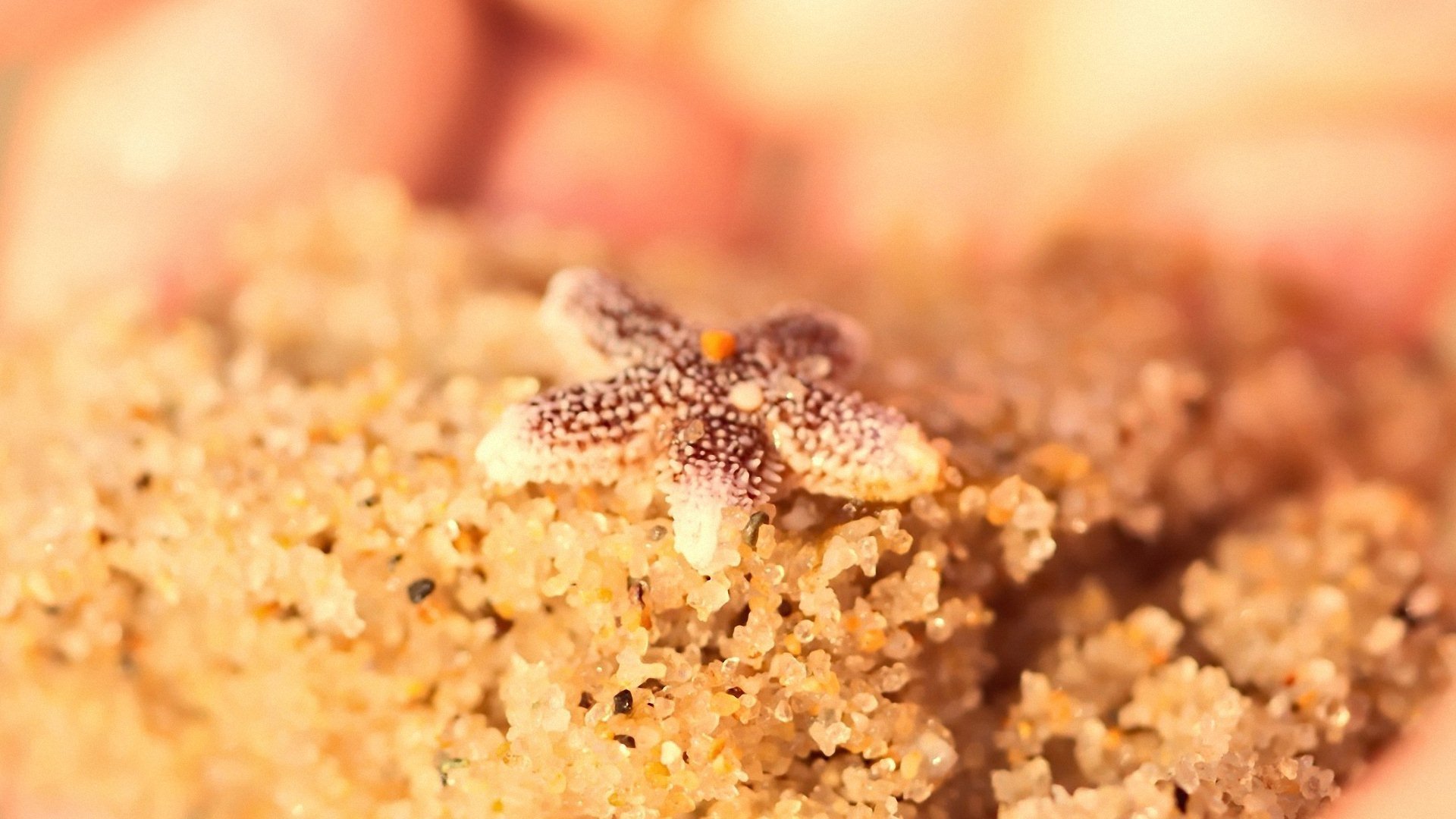 小清新 唯美 温暖 安静 阳光 温馨 儿童桌面专用