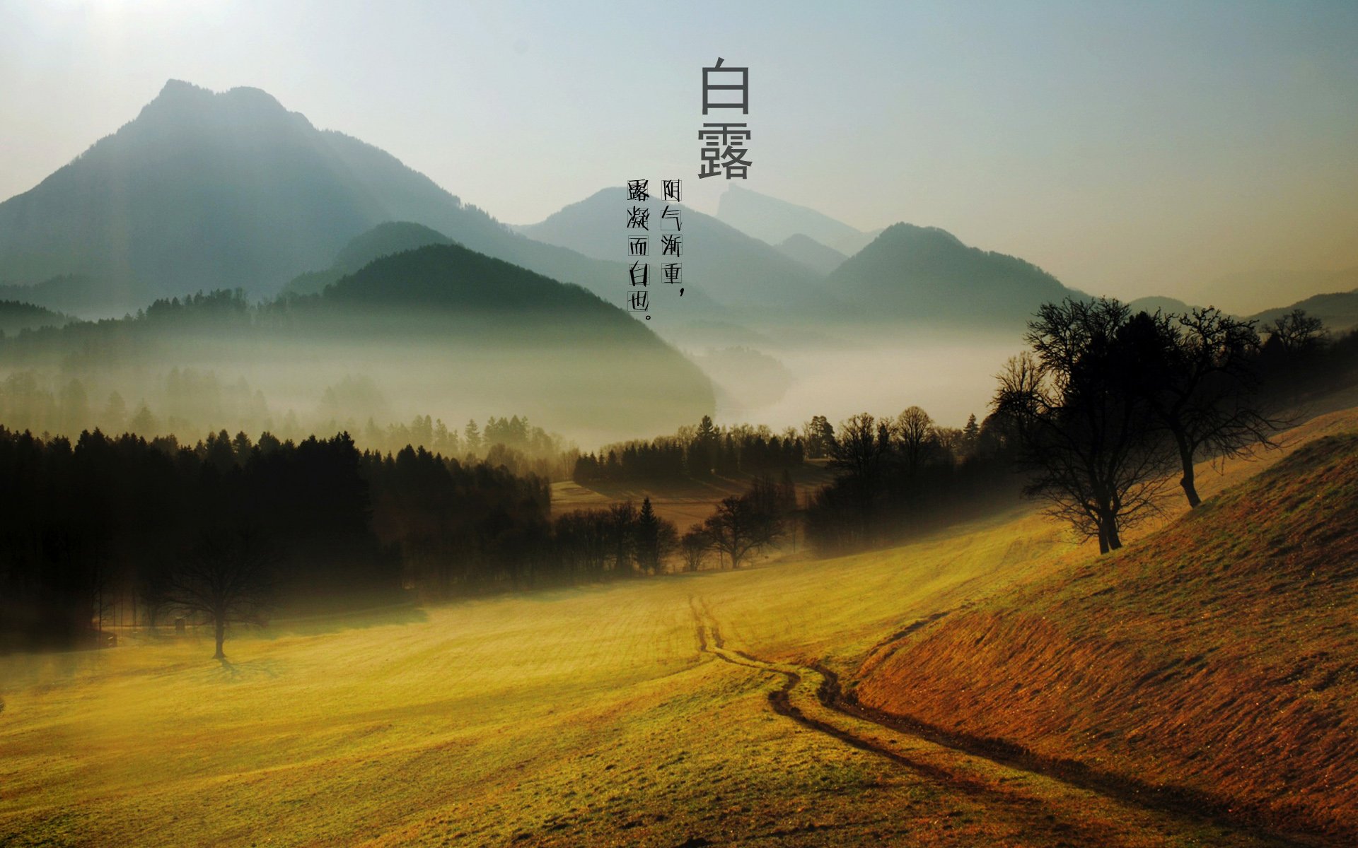 二十四节气 24节气 节气 风景 自然 风光 节日 白露