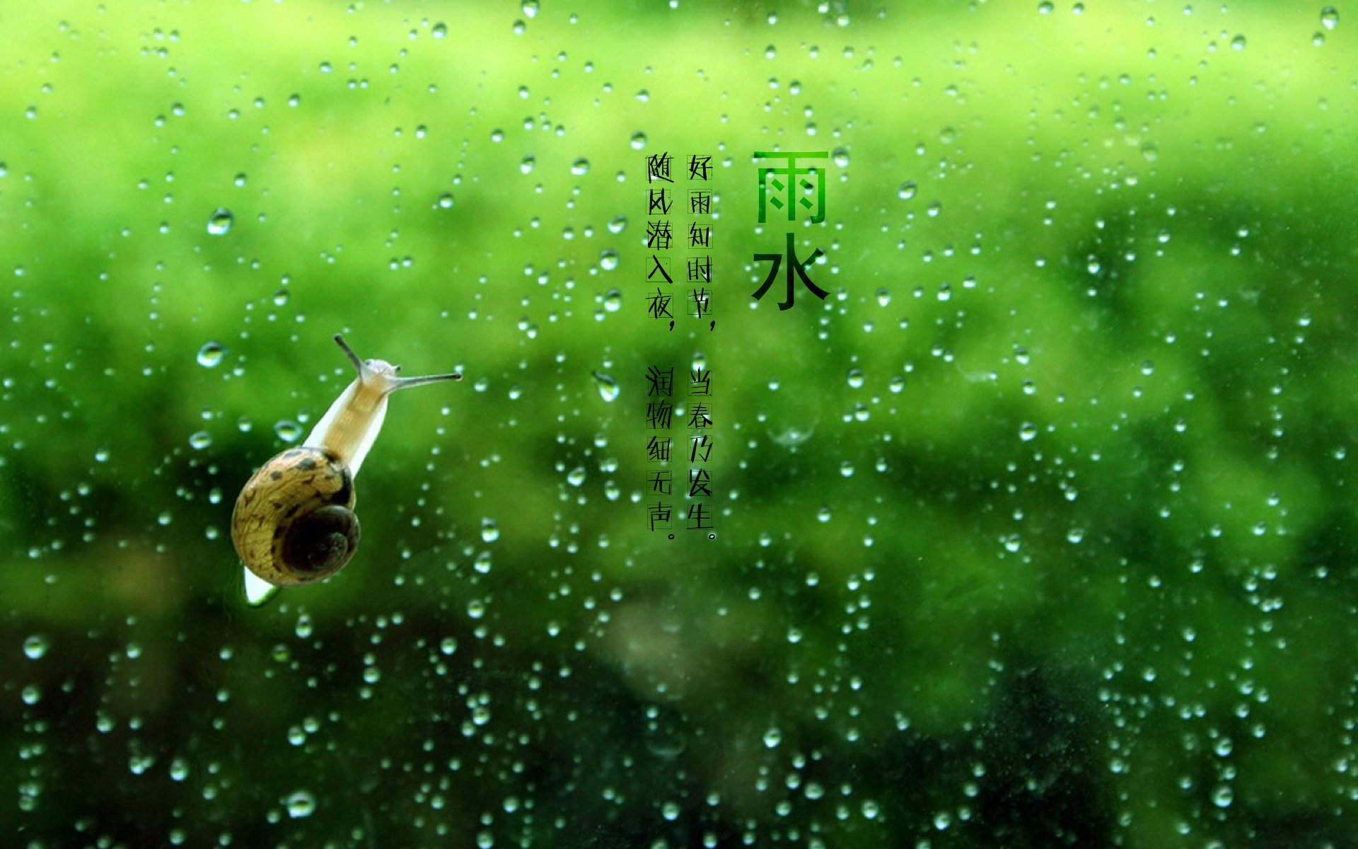 二十四节气 24节气 节气 风景 自然 风光 节日 雨水