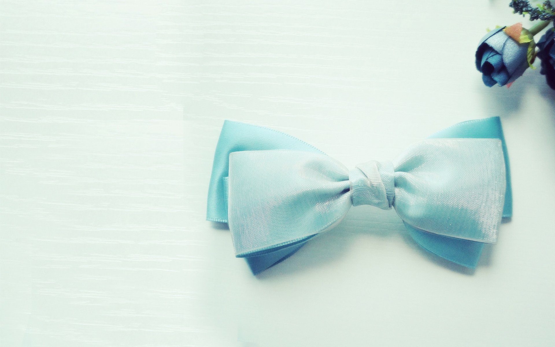 小清新 唯美 温馨 温暖 阳光 治愈系 安静 生活 慢生活 清新淡雅 温馨一刻 静物写真 物语  蝴蝶结 可爱