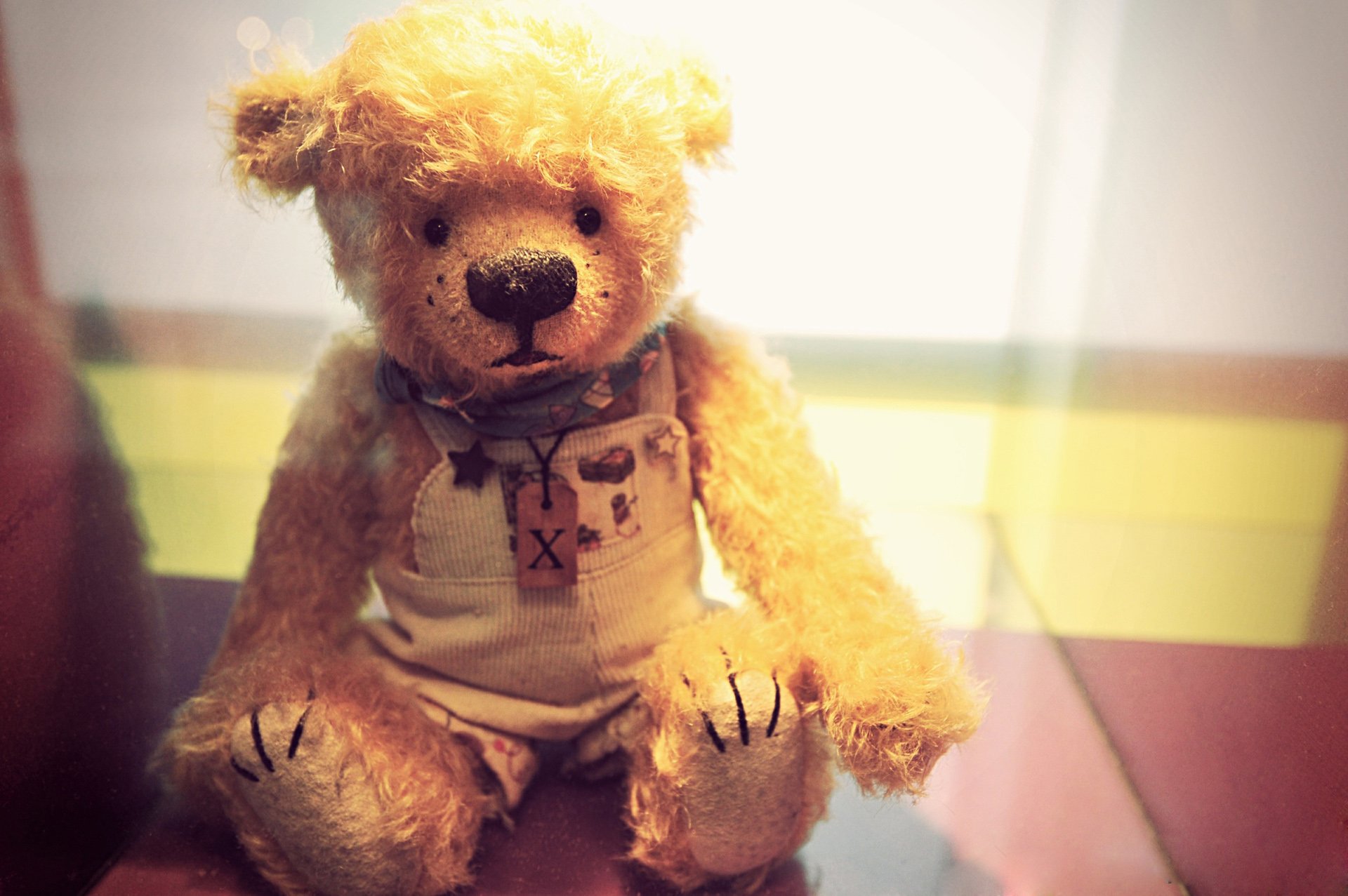 小清新 唯美 温馨 温暖 阳光 治愈系 安静 生活 慢生活 清新淡雅 温馨一刻 静物写真 物语  熊 孤单 寂寞 等待 一个人