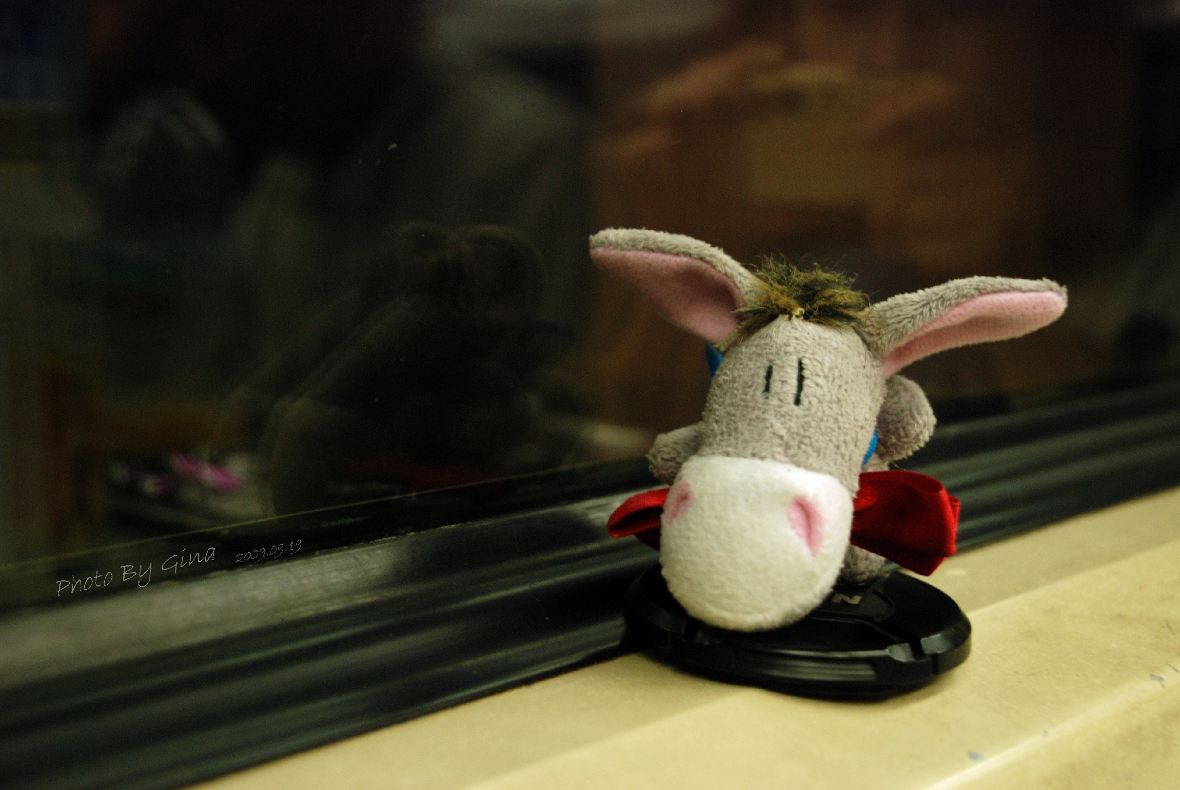 小清新 唯美 温馨 温暖 阳光 治愈系 安静 生活 慢生活 清新淡雅 温馨一刻 静物写真 物语  驴 孤单 寂寞 等待 一个人