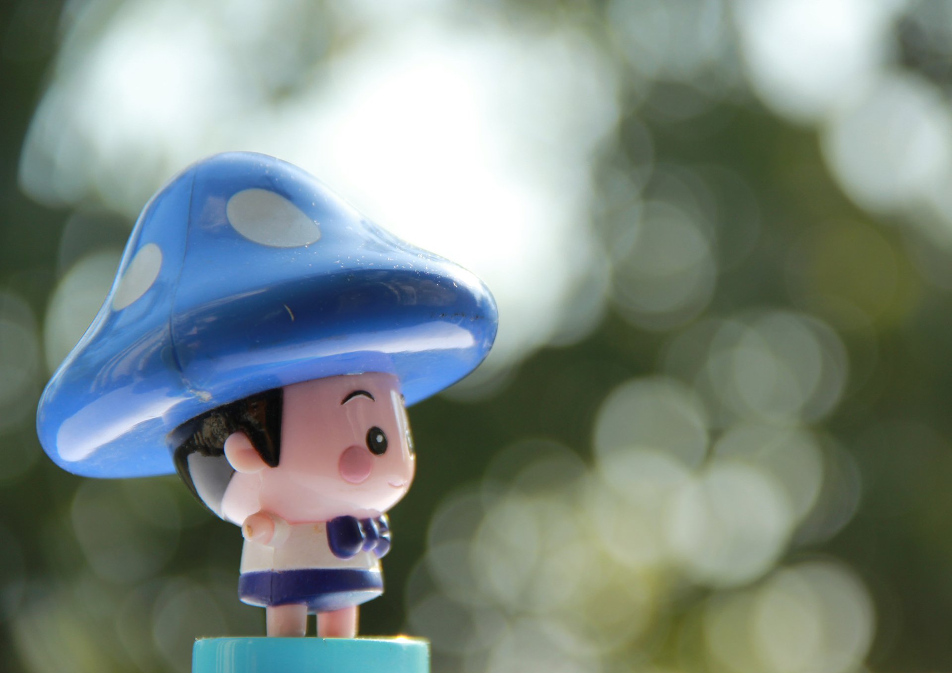 小清新 唯美 温馨 温暖 阳光 治愈系 安静 生活 慢生活 清新淡雅 温馨一刻 静物写真 物语   孤单 寂寞 等待 一个人