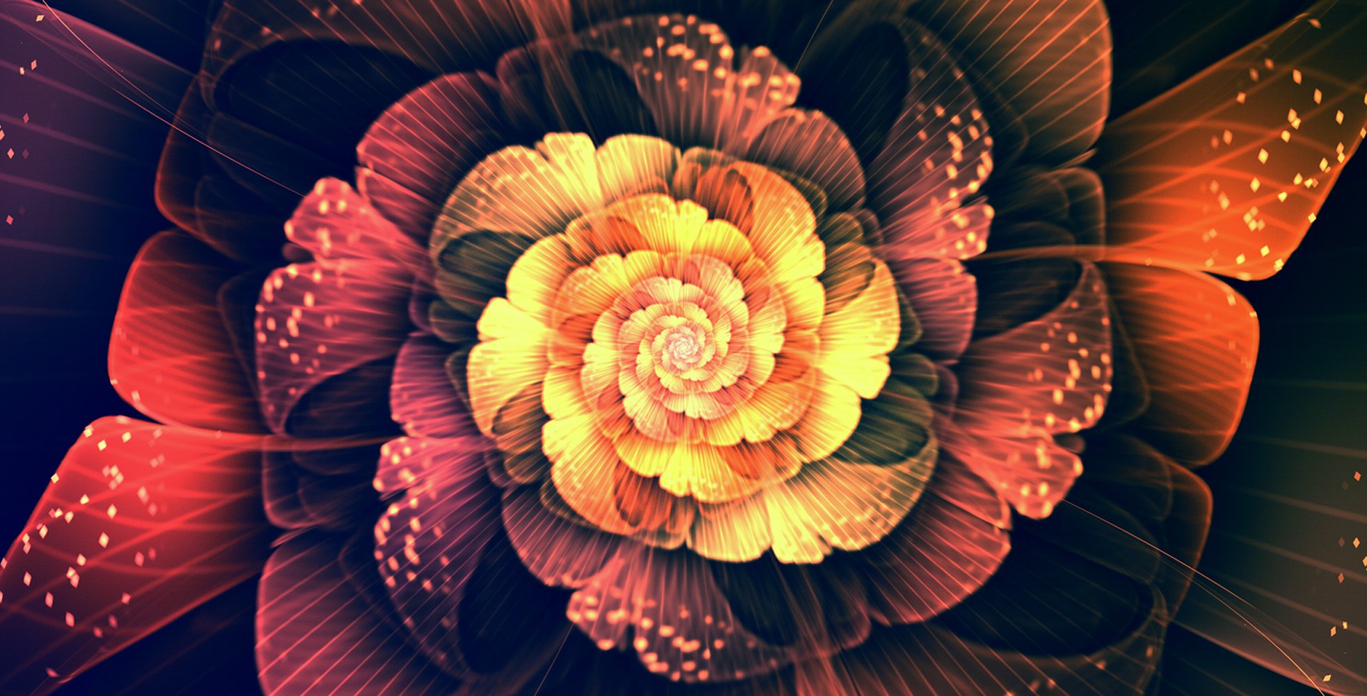 炫酷 特效 视觉艺术分形艺术  花 艺术 设计 色彩 炫彩