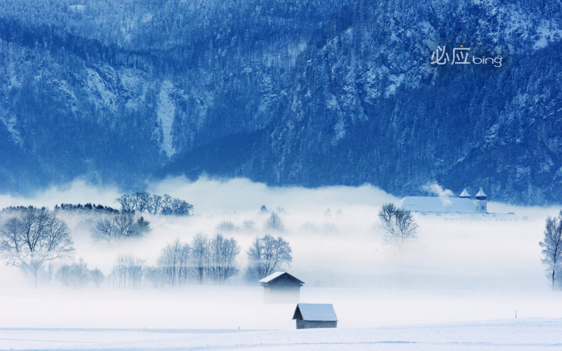 自然 风光 风景 冰天雪地 雪 冬天 冷 寒冷