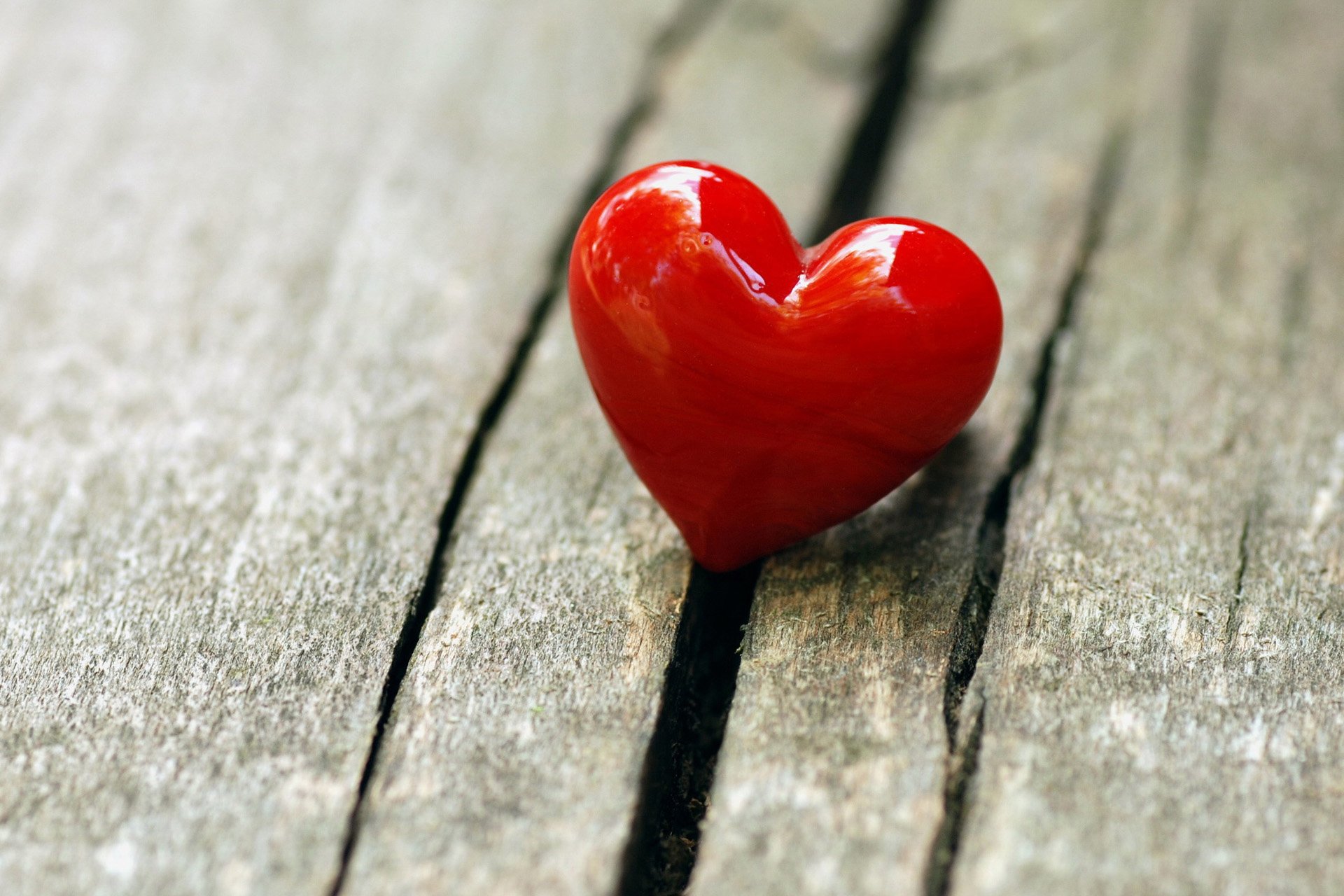 浪漫 爱情 情感 爱 love 唯美 清新 心 love 静物 物语 心动创意 红色