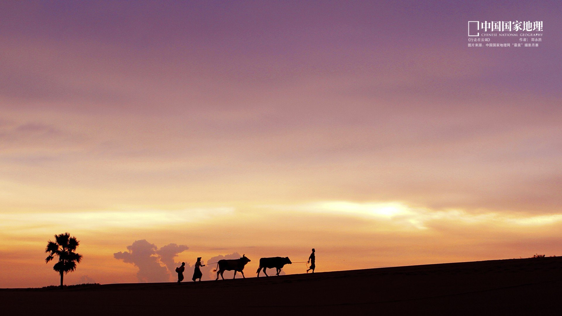 自然 风光 风景 落日余晖 夕阳 黄昏 傍晚 唯美