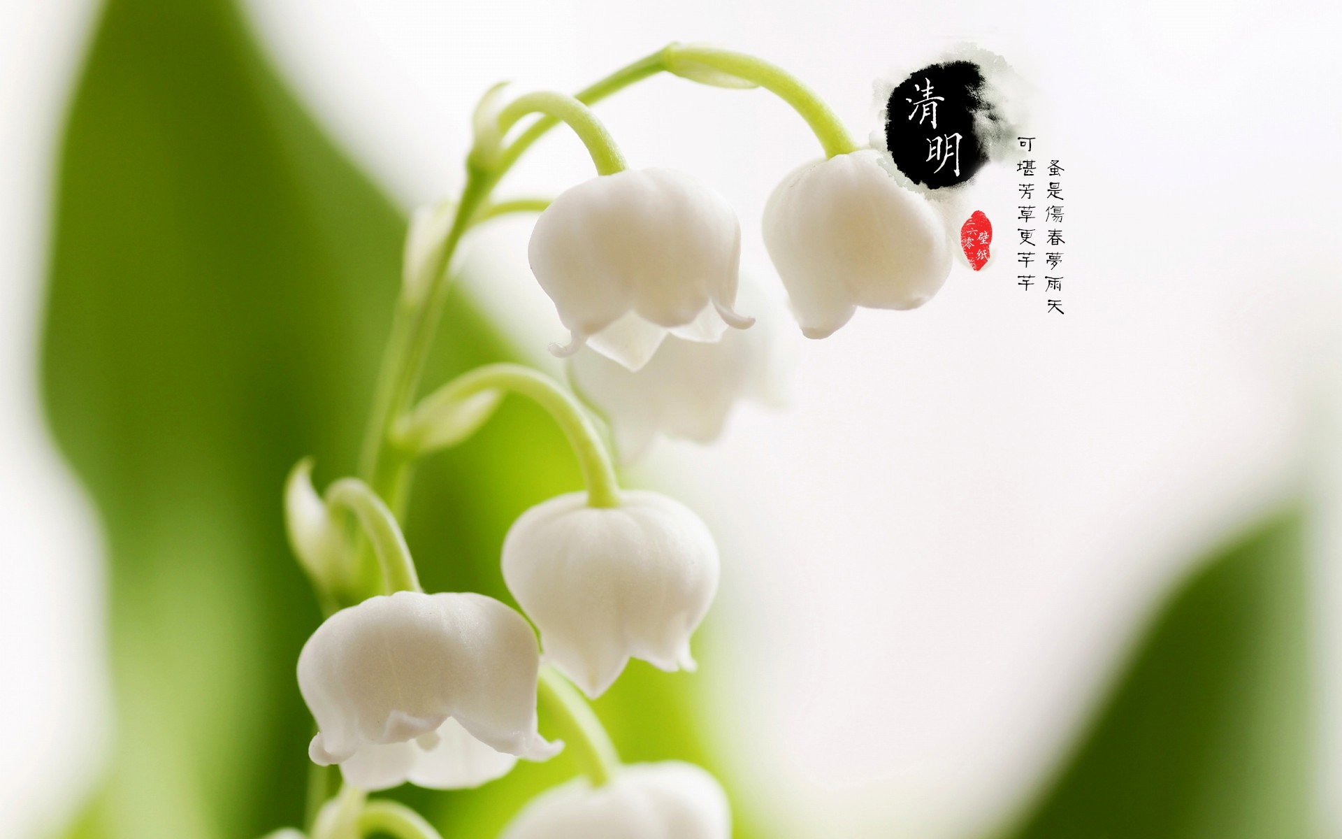 清明节 古风 古诗 诗句 意境 节气 24节气 二十四节气 @姑凉_你又瘦了