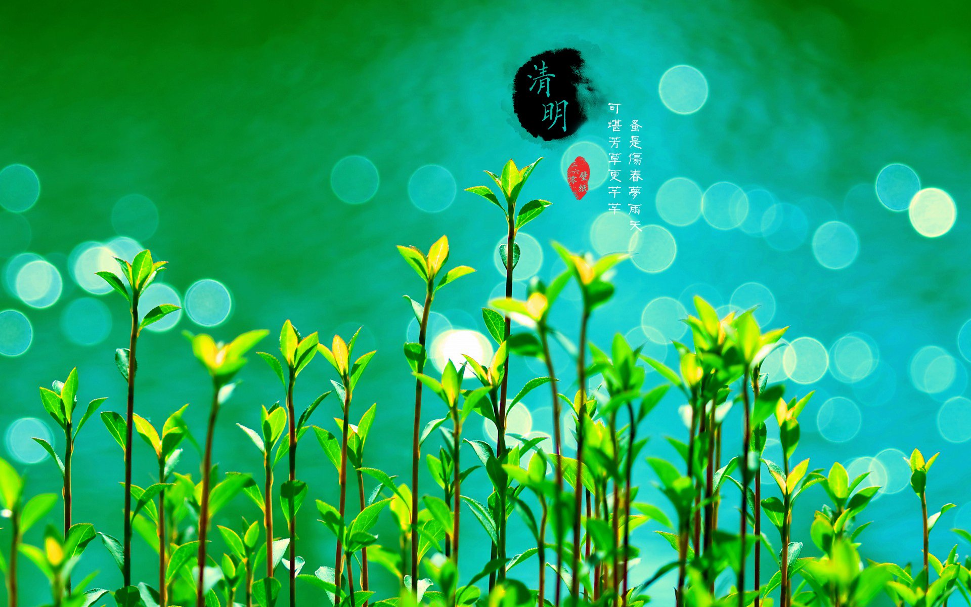 清明节 古风 古诗 诗句 意境 节气 24节气 二十四节气 @姑凉_你又瘦了