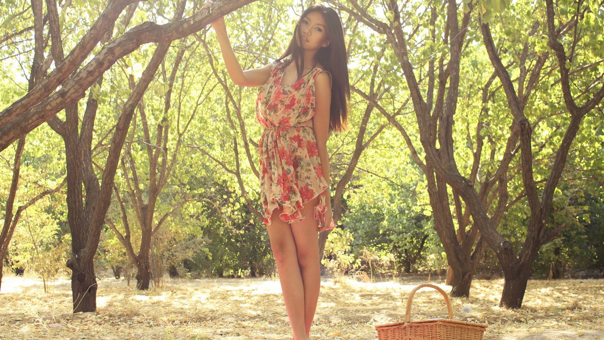 美女 清纯佳人 青春 温暖 安静 清新