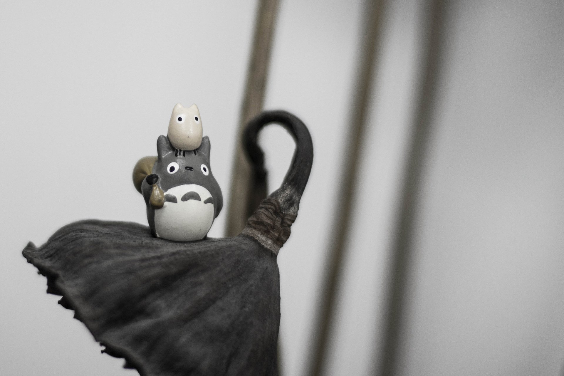 小清新 唯美 温暖 温馨一刻 静物写真 龙猫